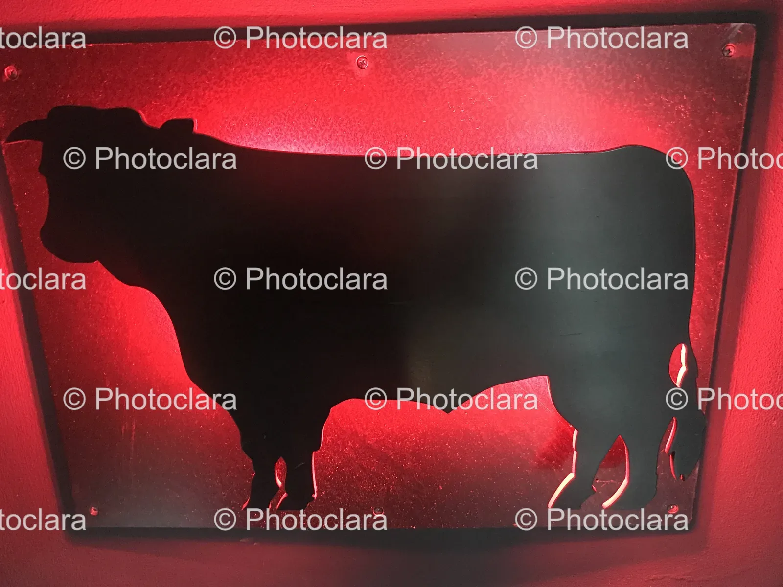 Silhouette-of-a-Cow-on-Red.jpg