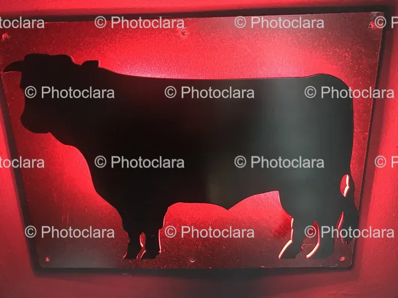 Animal Silhouettes