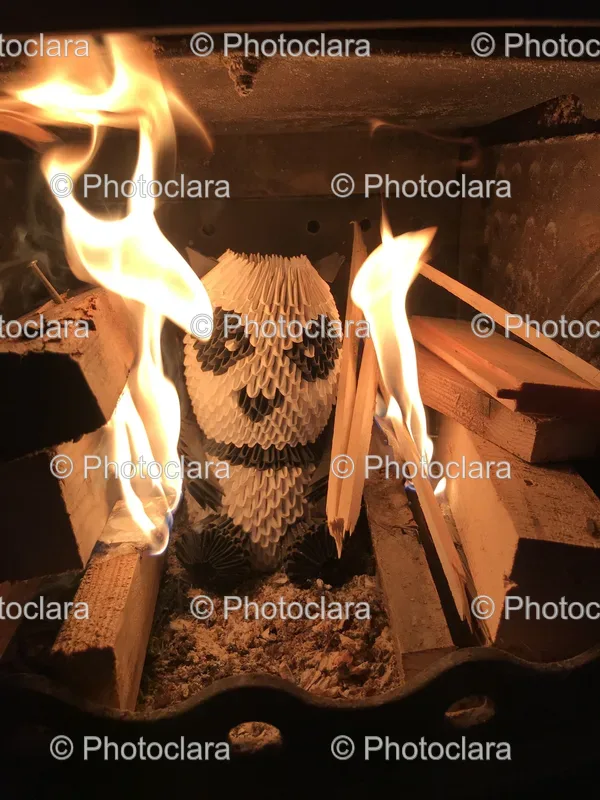 Fire and Destruction