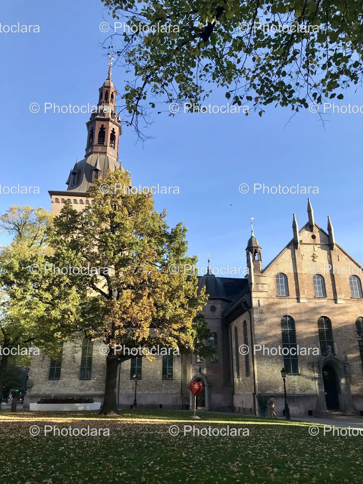 majestic-church-with-tower-and-tree.jpg