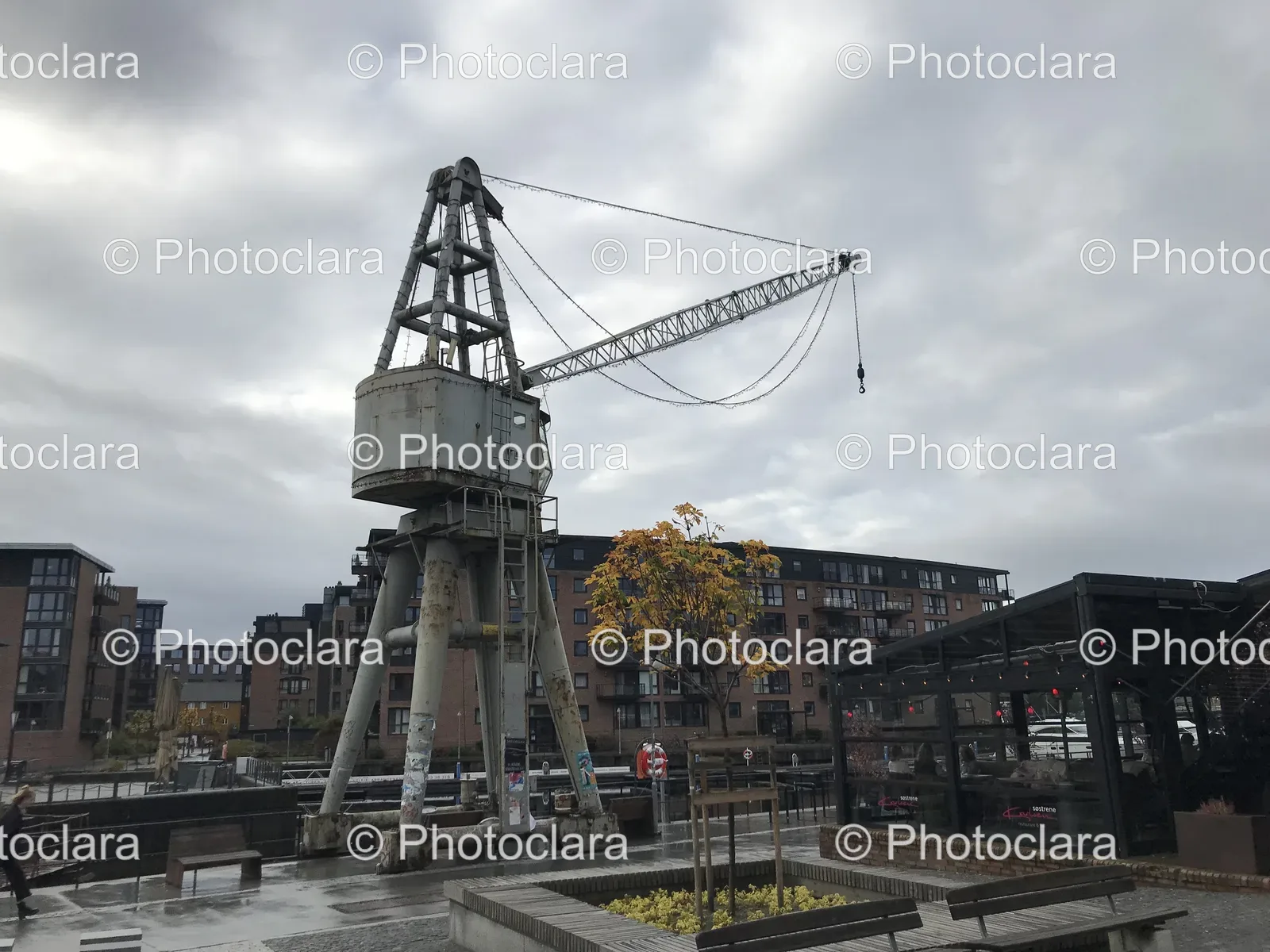 Crane-in-a-Cityscape.jpg