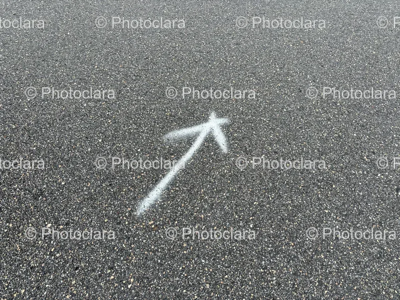 Outdoor Patterns