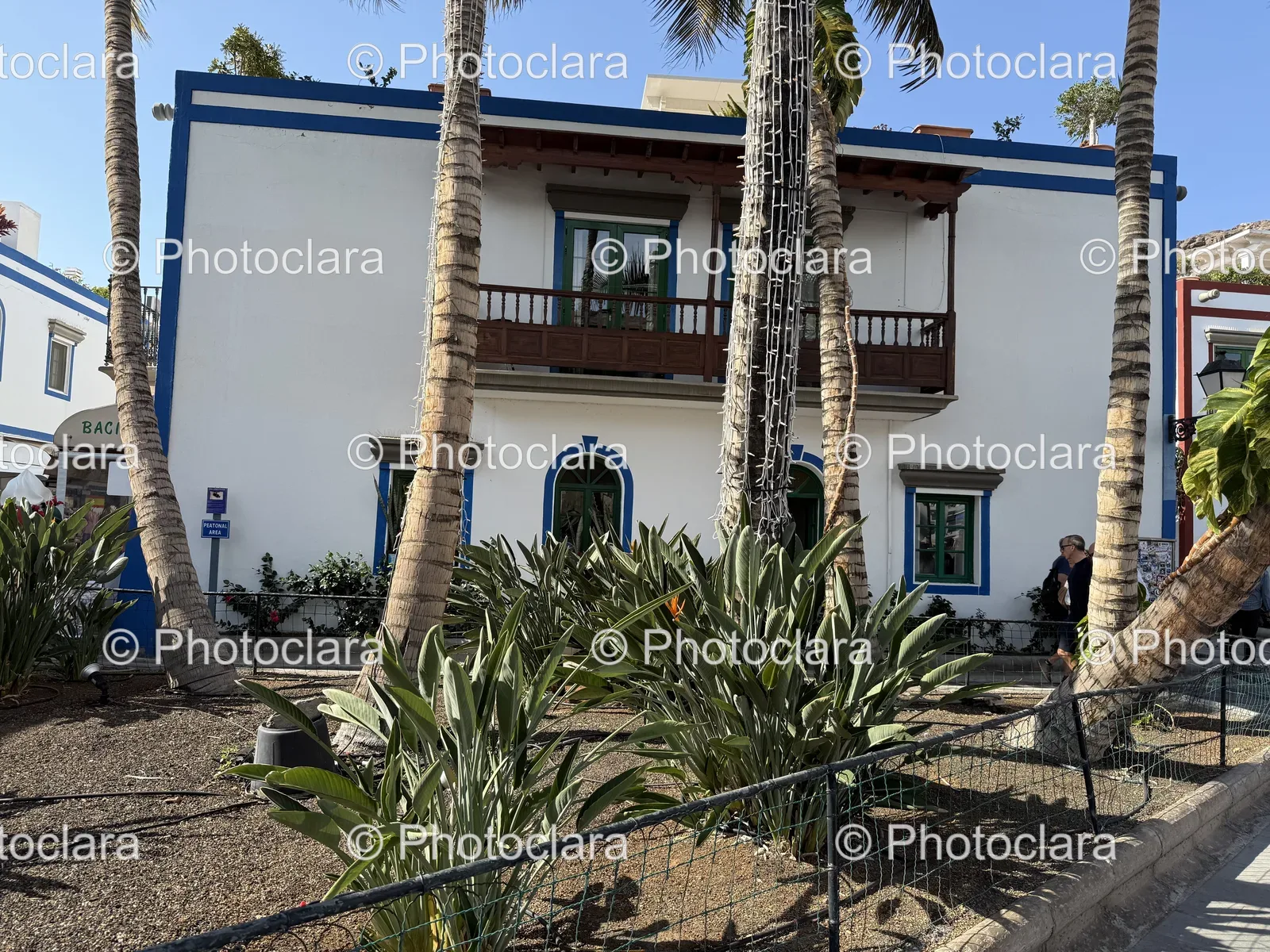 Palm-Framed White Building