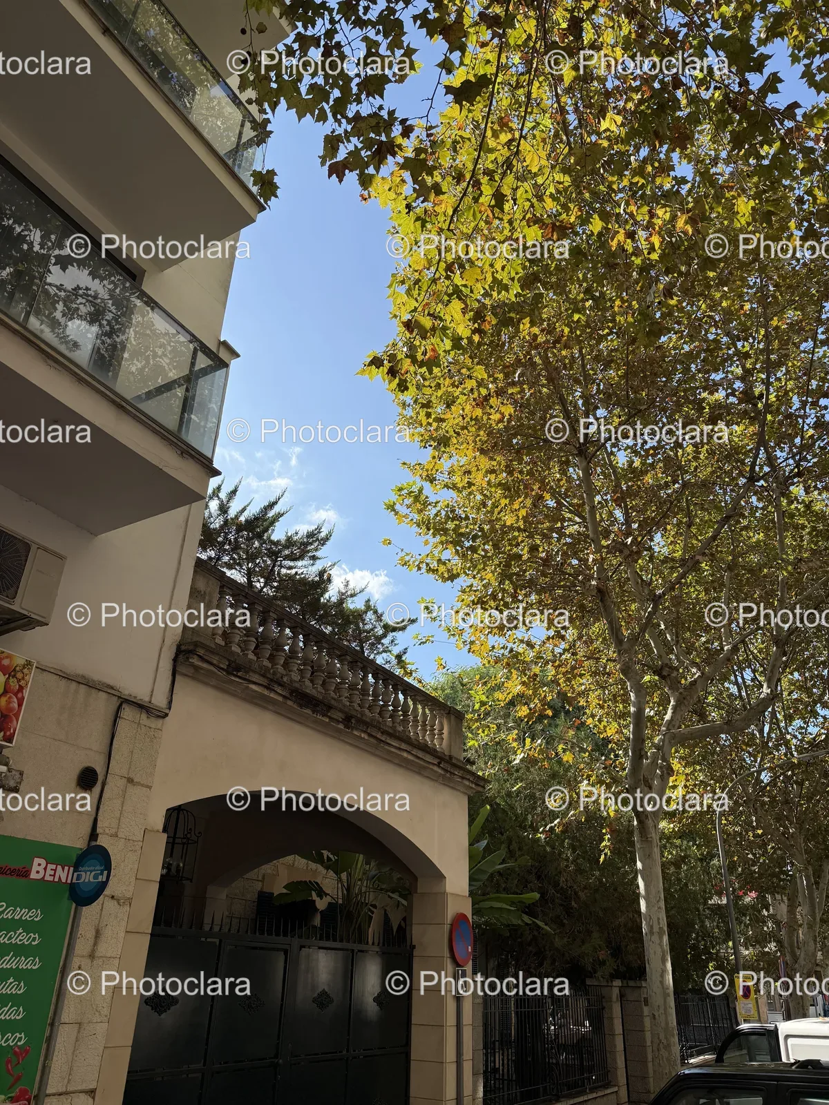 Urban Scene with Tree and Building