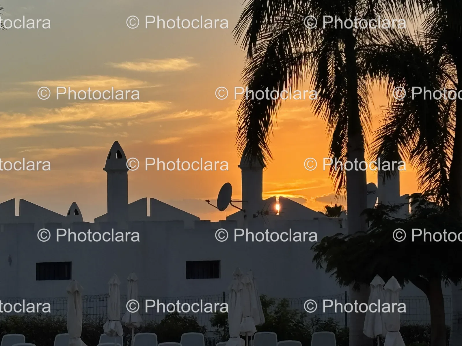 Building-with-Palm-Trees-at-Sunset.jpg