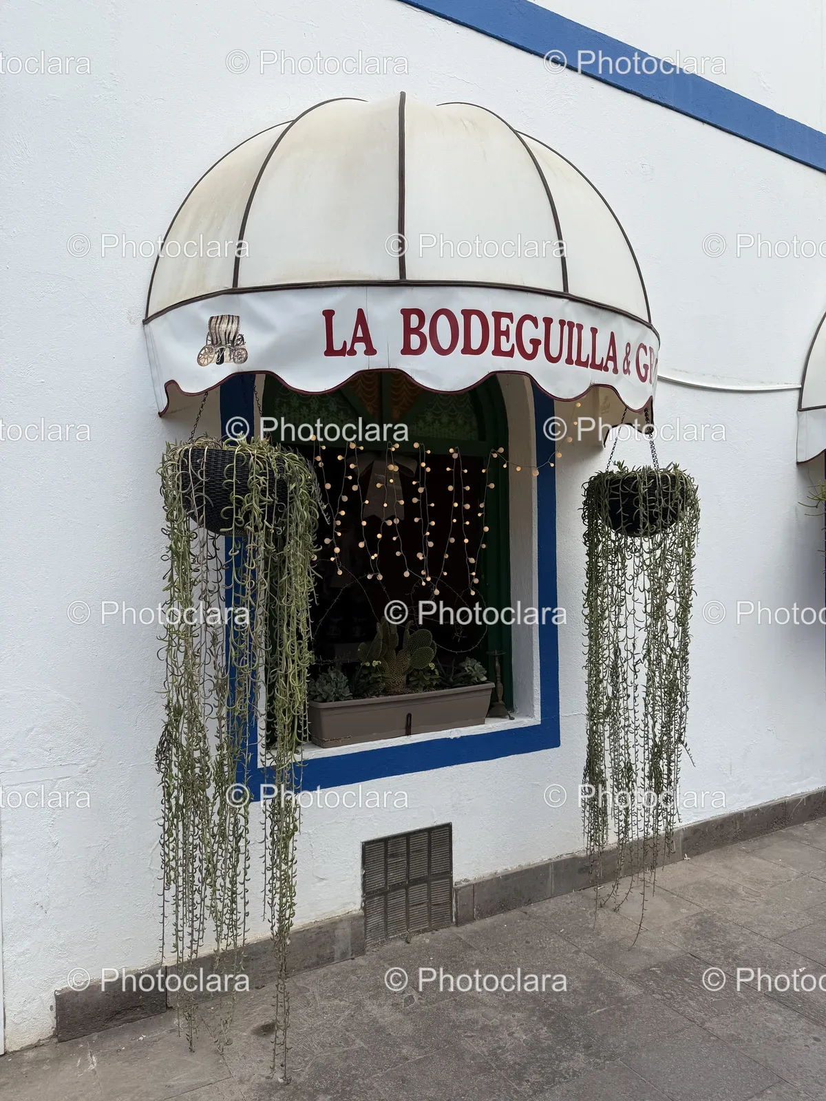 Charming-Storefront-With-Awning-And-Greenery.jpg