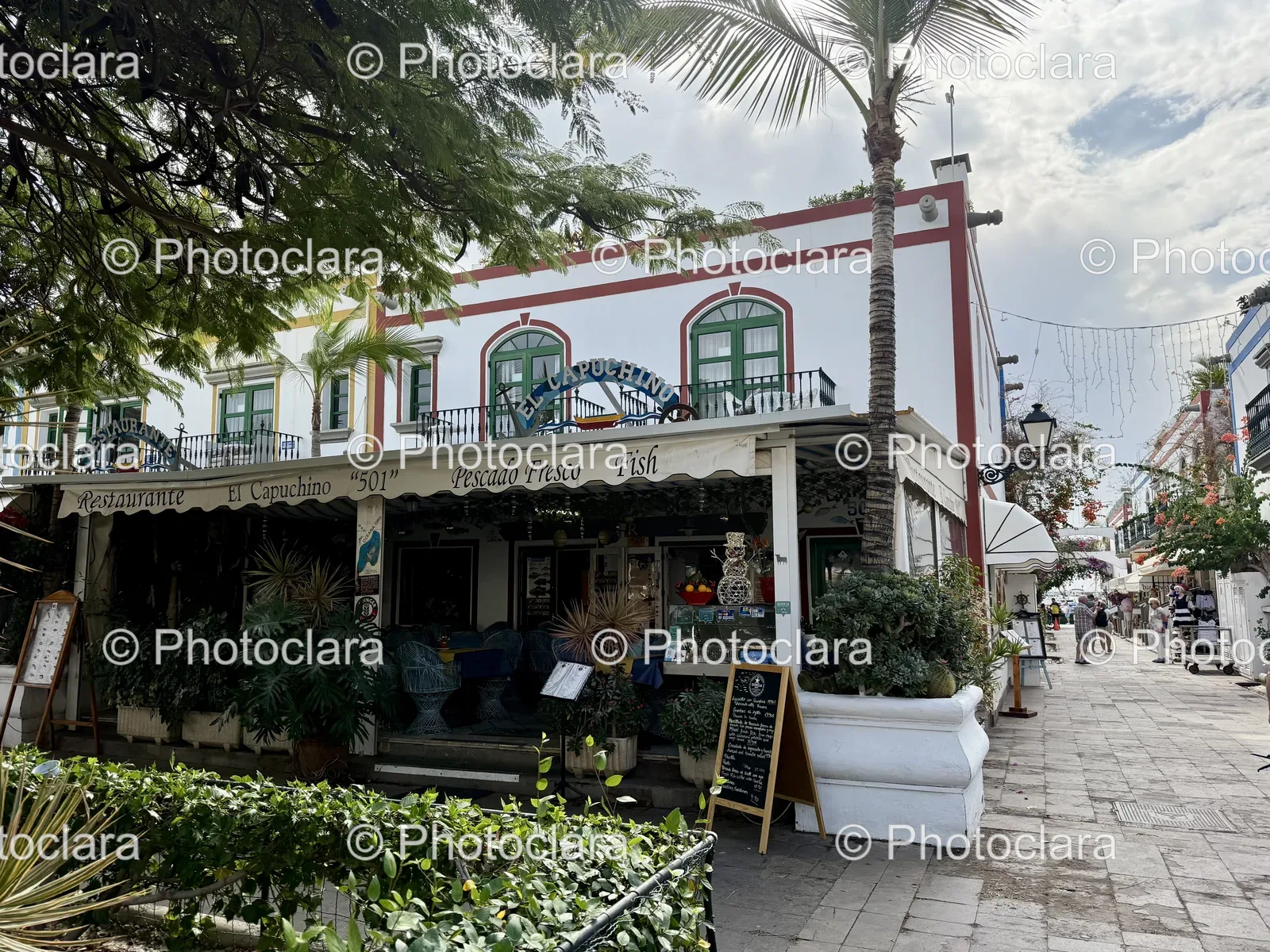 Charming-Street-Restaurant-Verdant-Ambiance.jpg