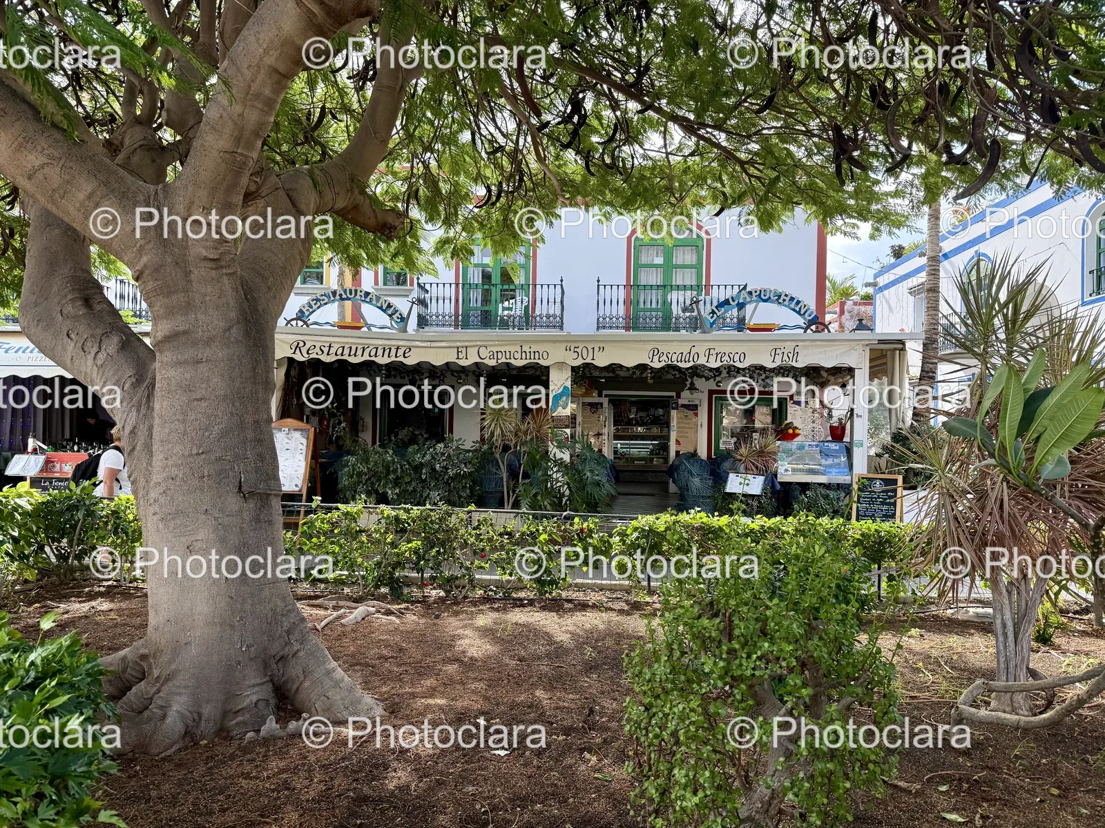 Charming-Tree-in-Front-of-Restaurant-Building.jpg