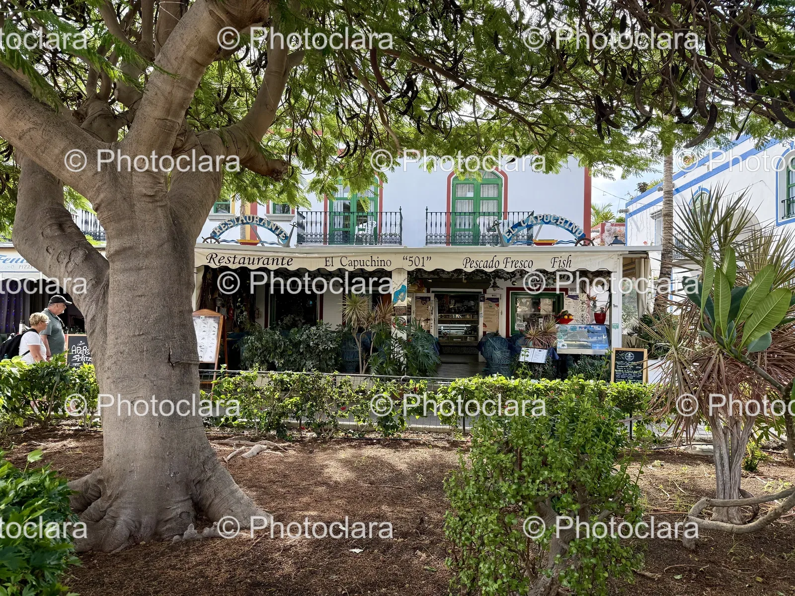 Charming-Urban-Tree-Restaurant-El-Capuchino-Pescado-Fresco.jpg