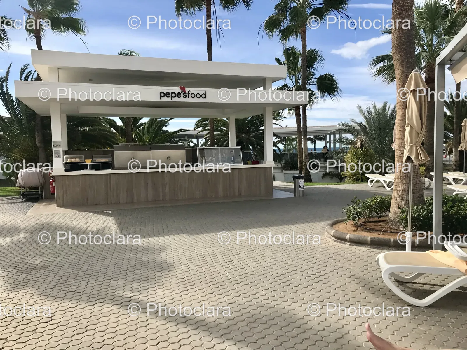 Palm-Trees-in-Front-of-Pepes-Food.jpg