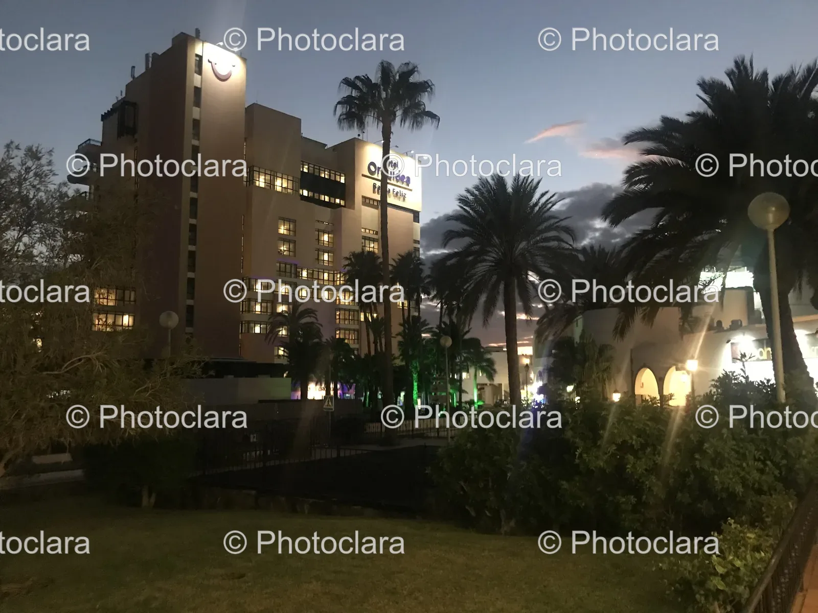 hotel-building-with-palm-trees-and-lawn.jpg