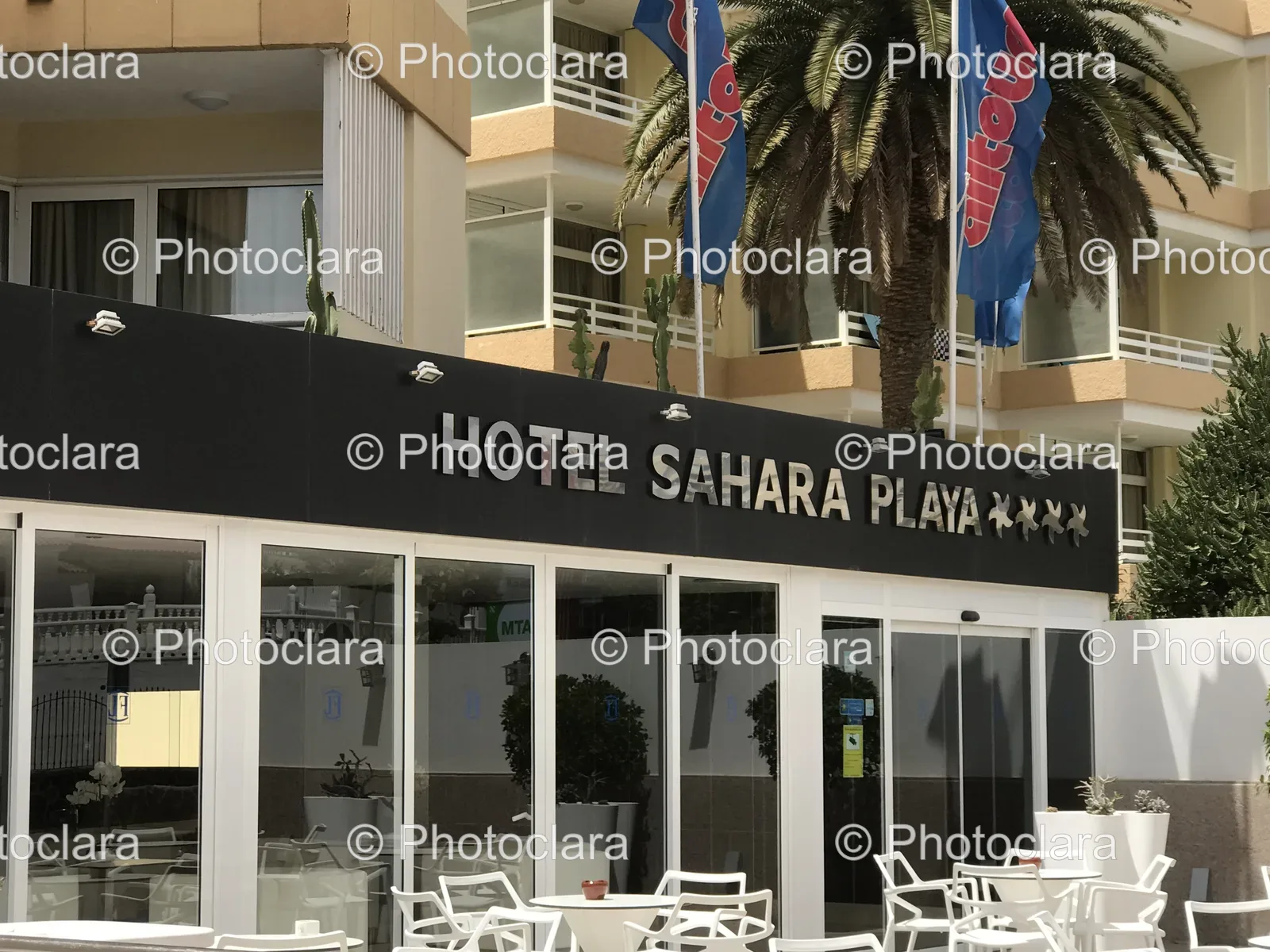 Hotel-Sahara-Playa-with-Palm-and-Flags.jpg