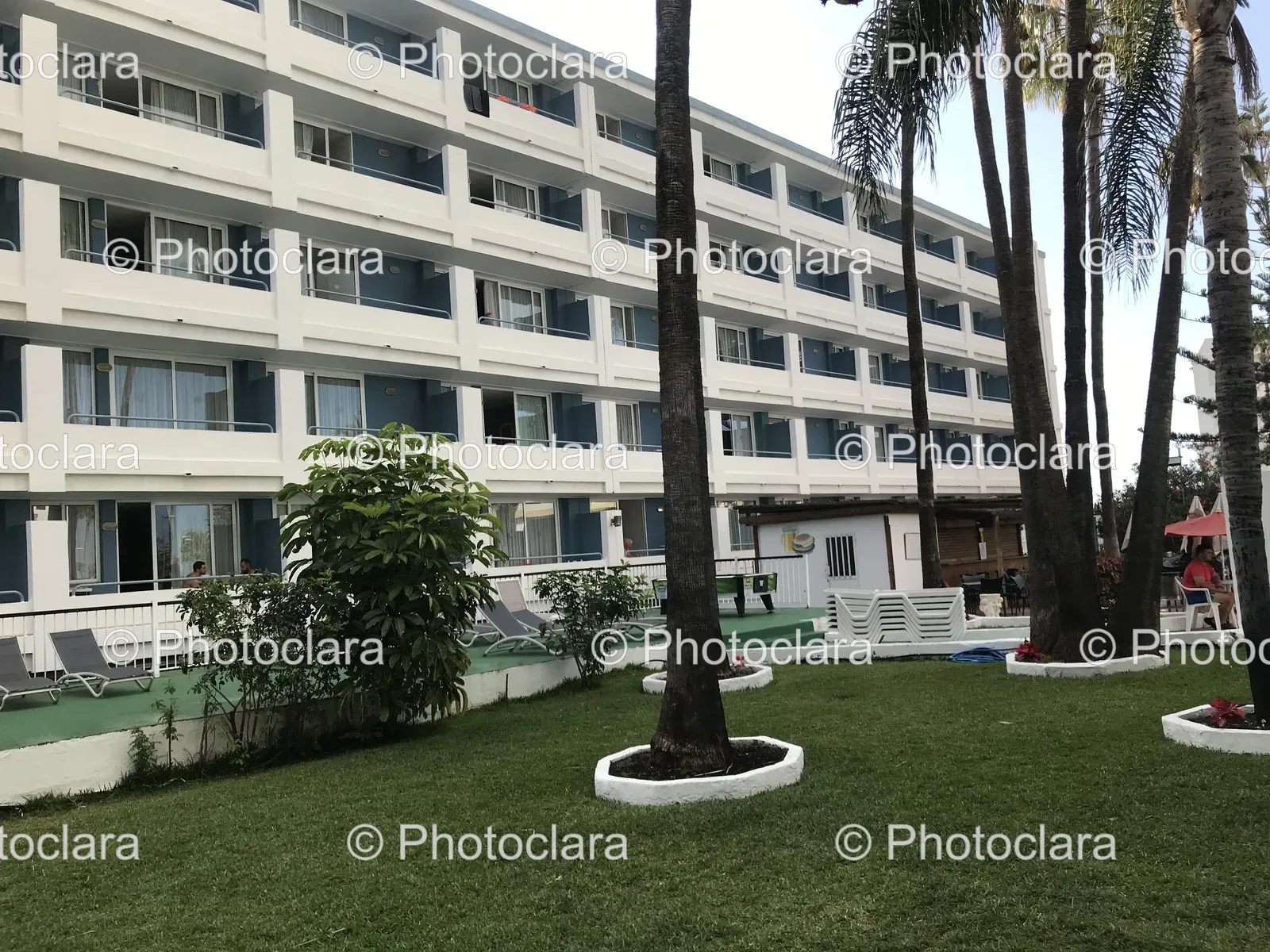 palm-studded-hotel-with-lush-green-grounds.jpg