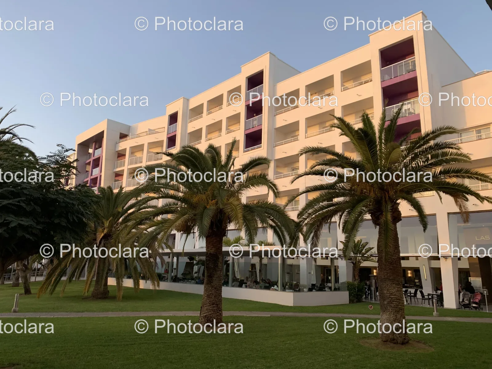 Palm-Trees-and-Hotel.jpg