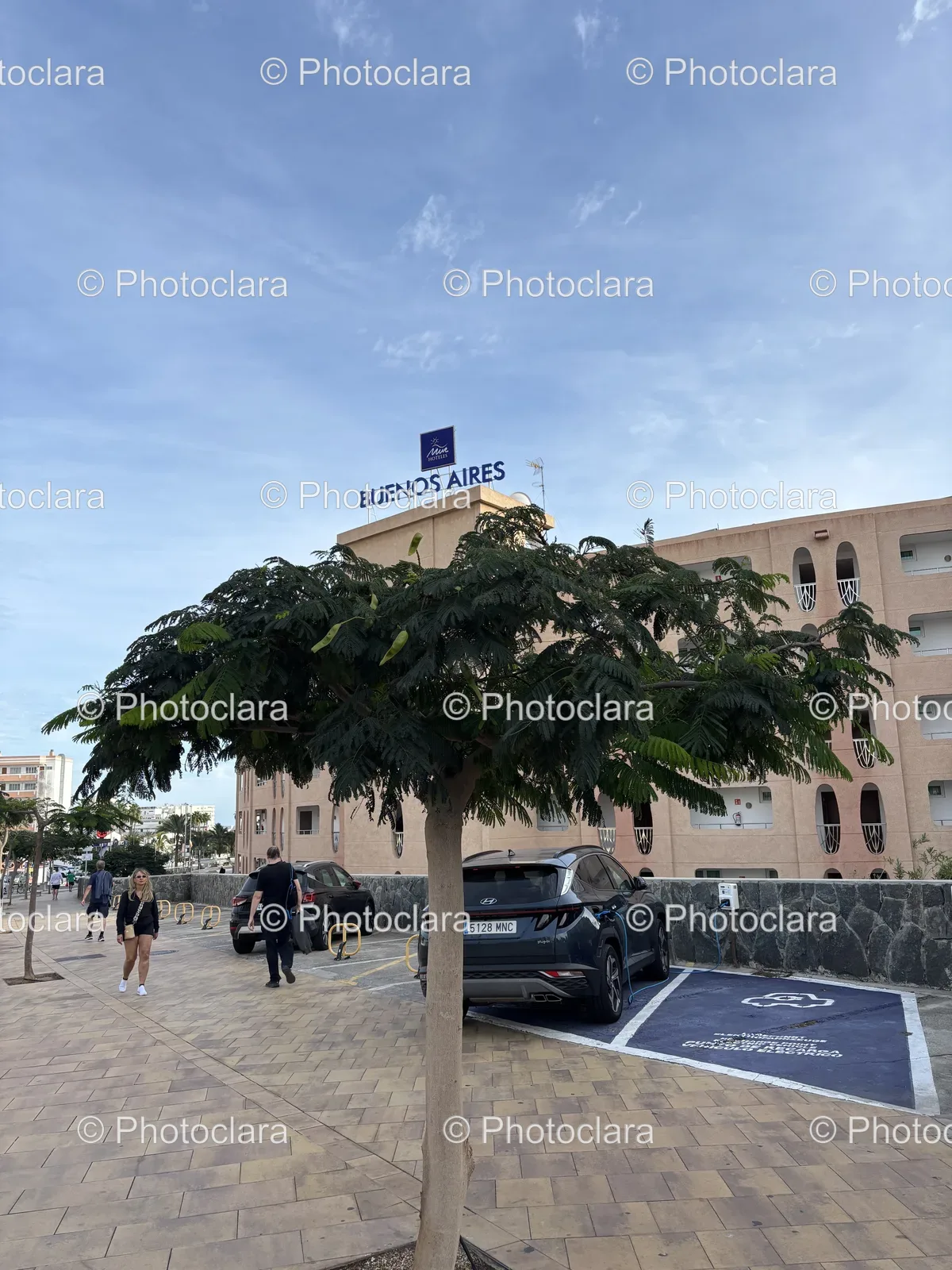 Tree-and-Building-in-Buenos-Aires-Hotel.jpg