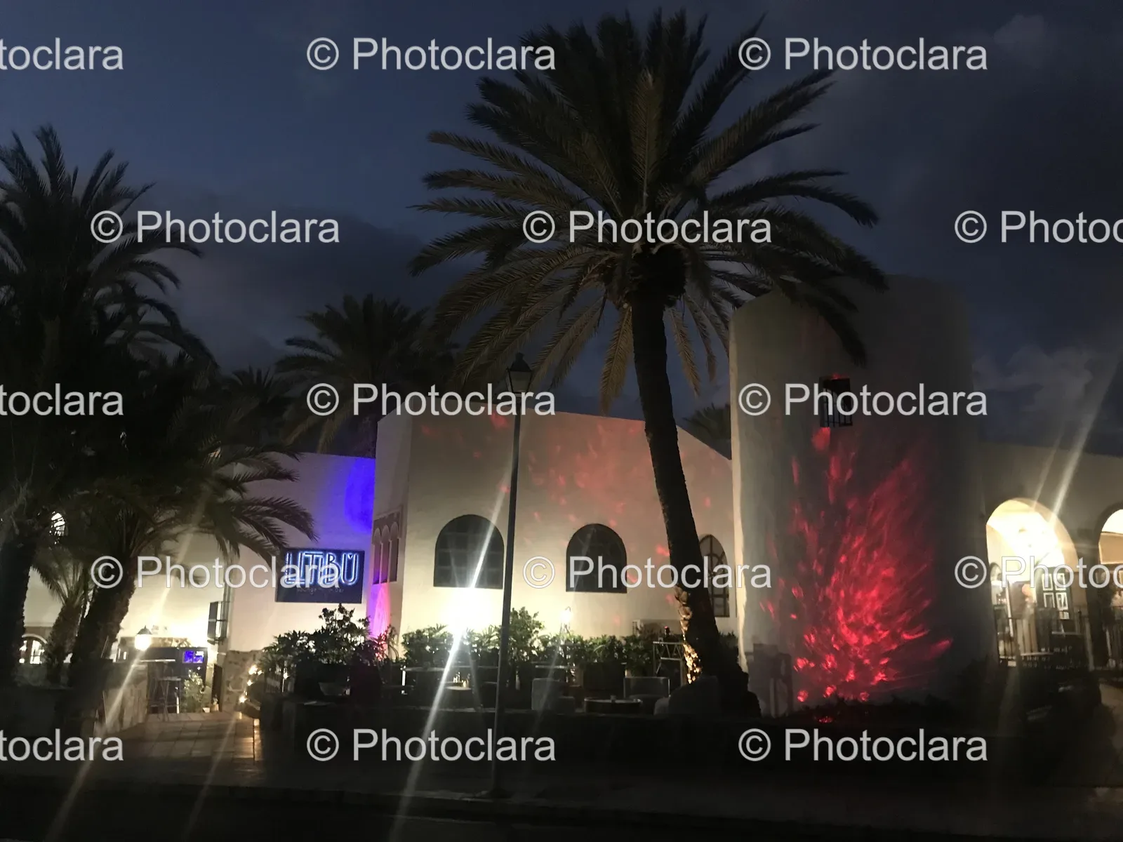 modern-building-palm-trees-night.jpg