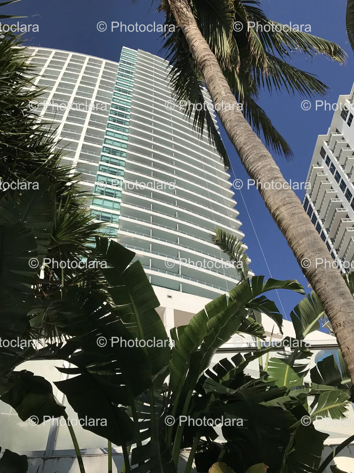Tall-Skyscraper-with-Palm-Trees.jpg