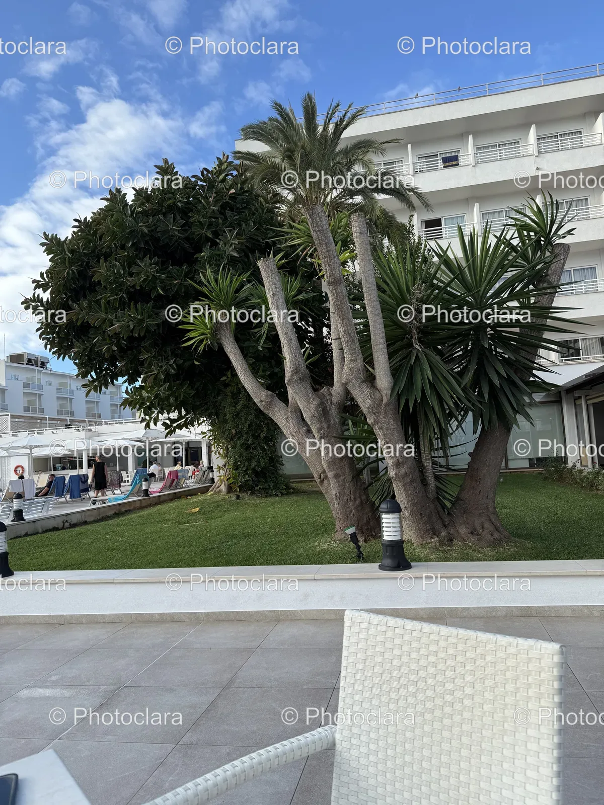 trees-contemporary-building-modern-architecture.jpg