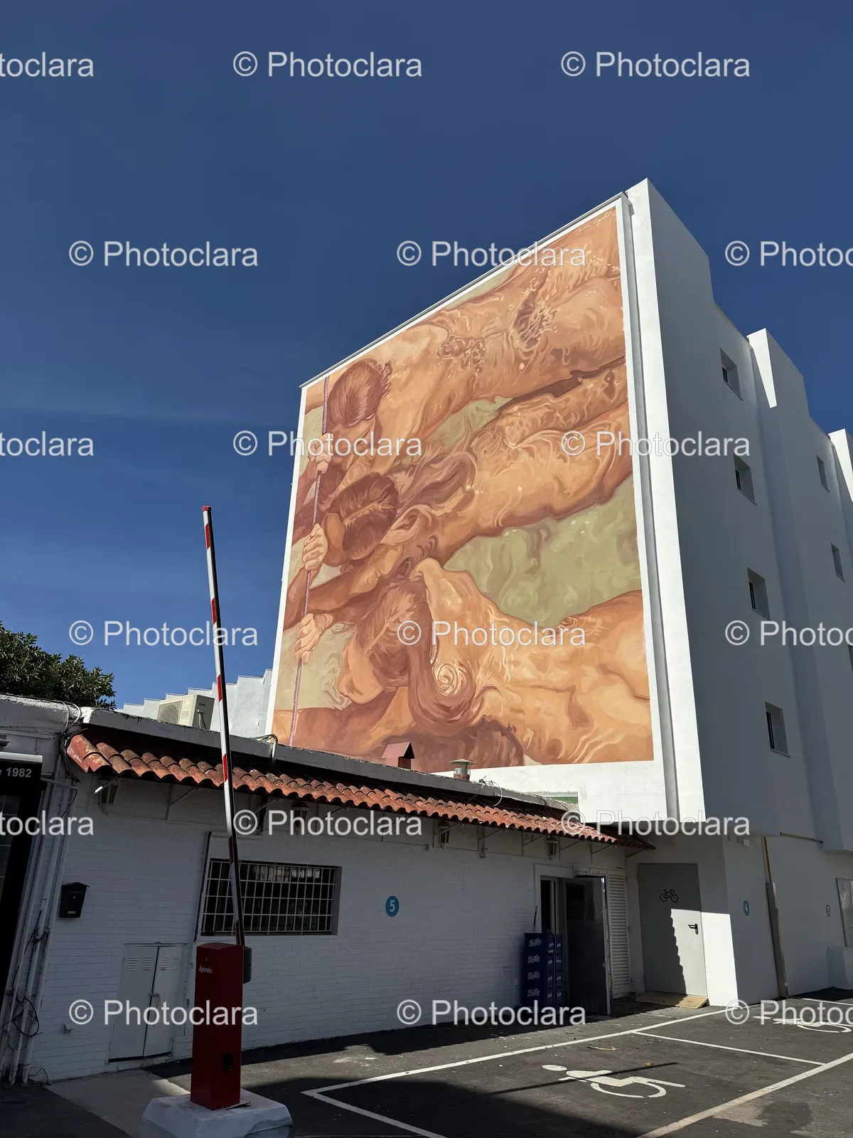 Vibrant-Mural-On-Modern-Building.jpg