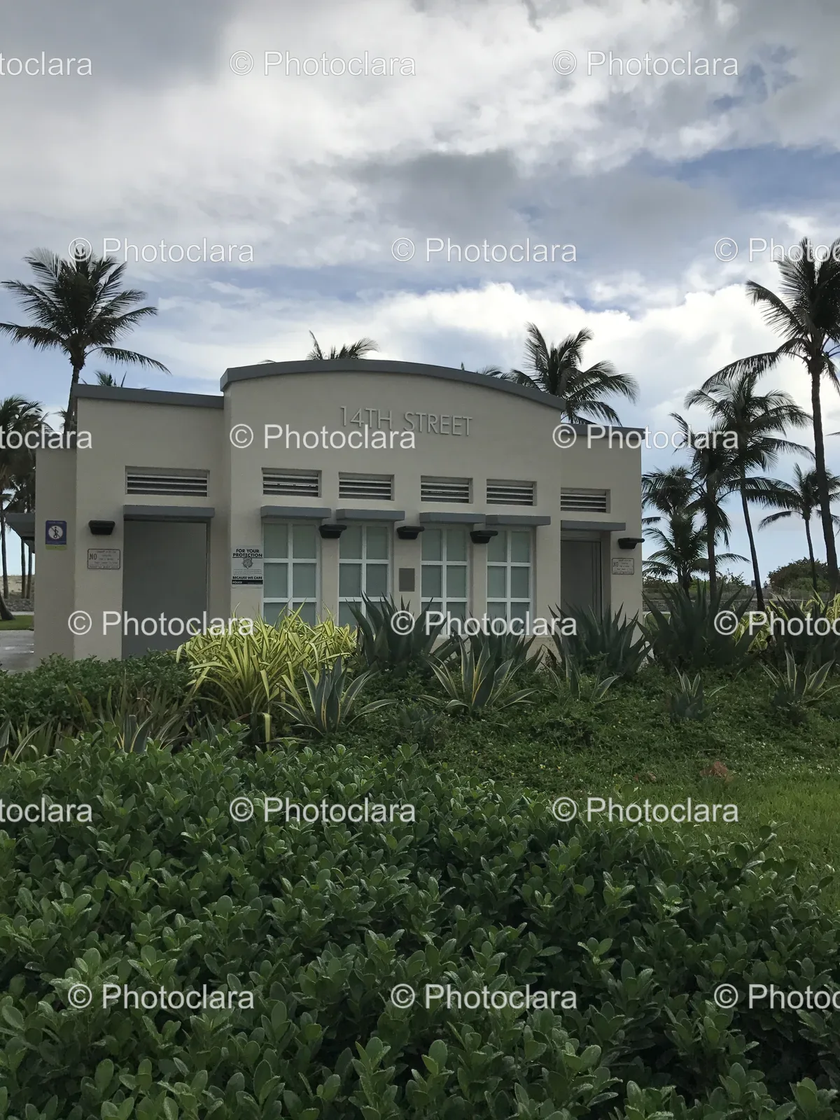 Palm-Trees-and-Bushes-around-Residential-House.jpg