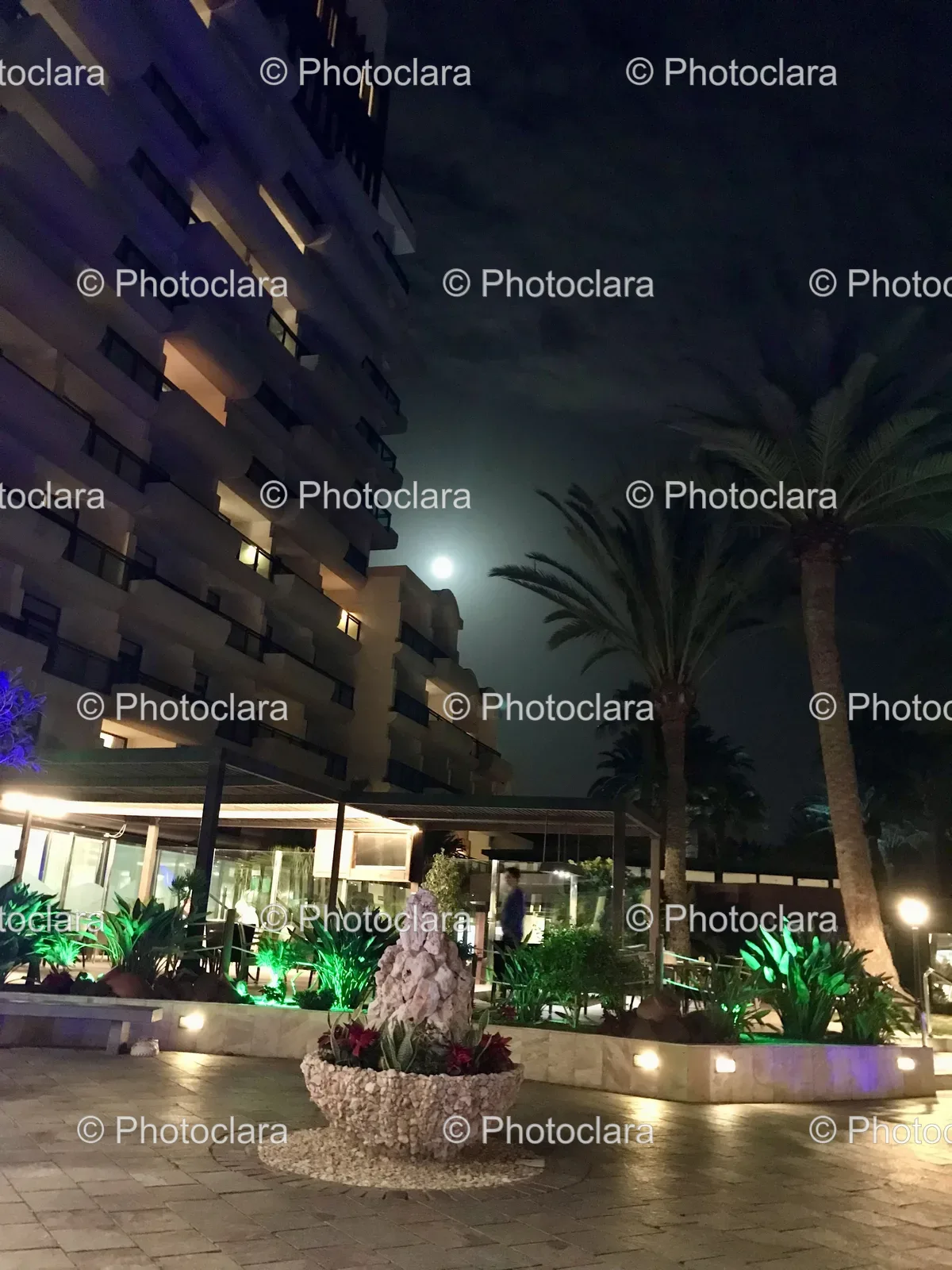luxurious-resort-building-palm-trees-fountain.jpg