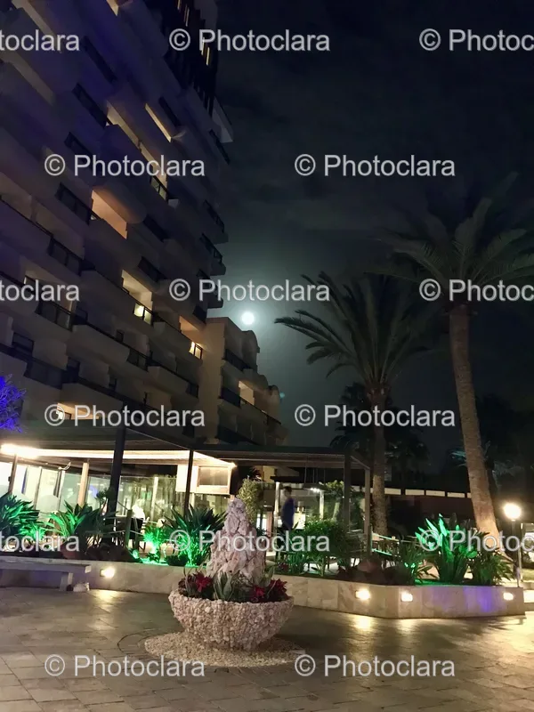Resort Architectures