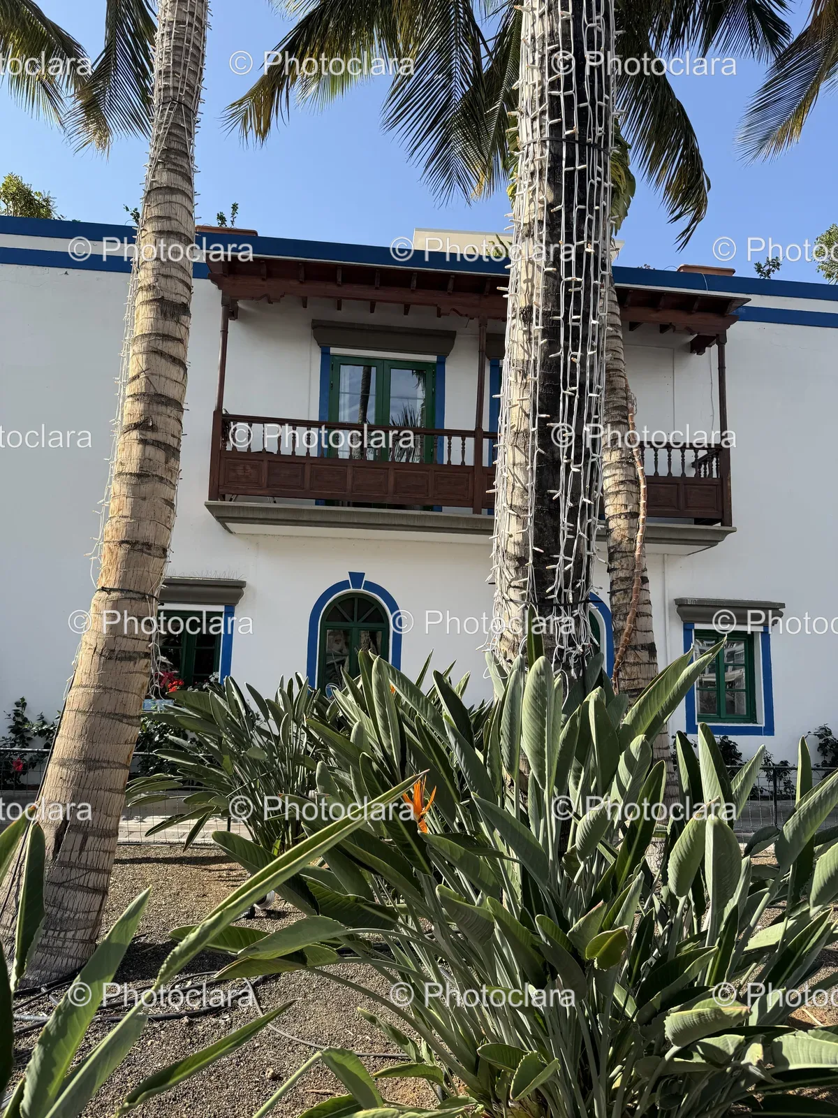 palm-adorned-white-building.jpg