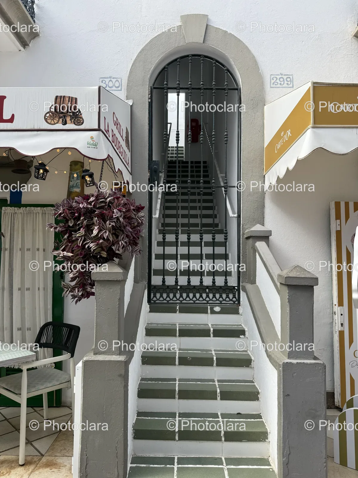 Elegant-Staircase-Leading-to-a-Grand-Entrance.jpg
