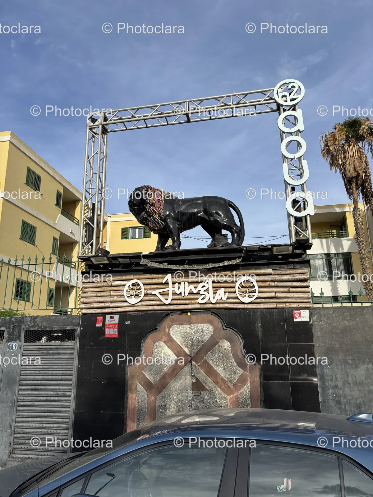 Majestic-Lion-Statue-on-Building.jpg