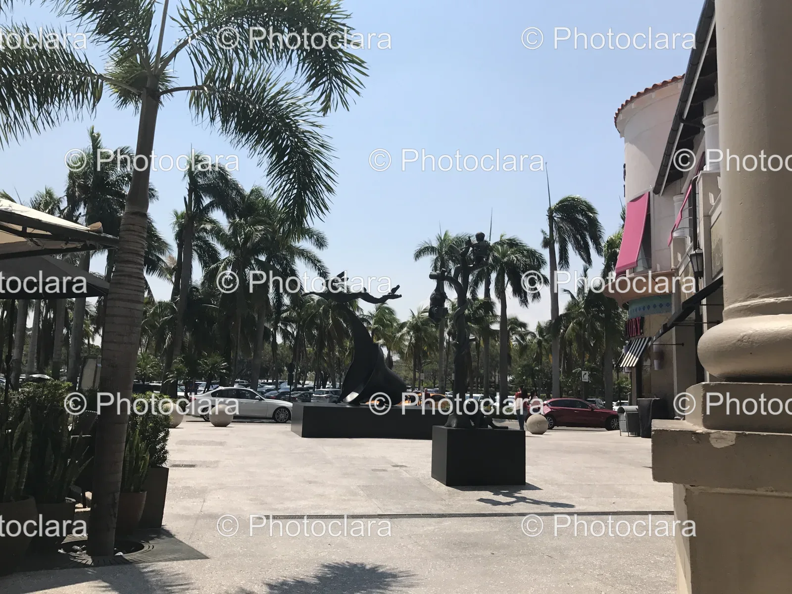 plaza-statue-palm-trees.jpg