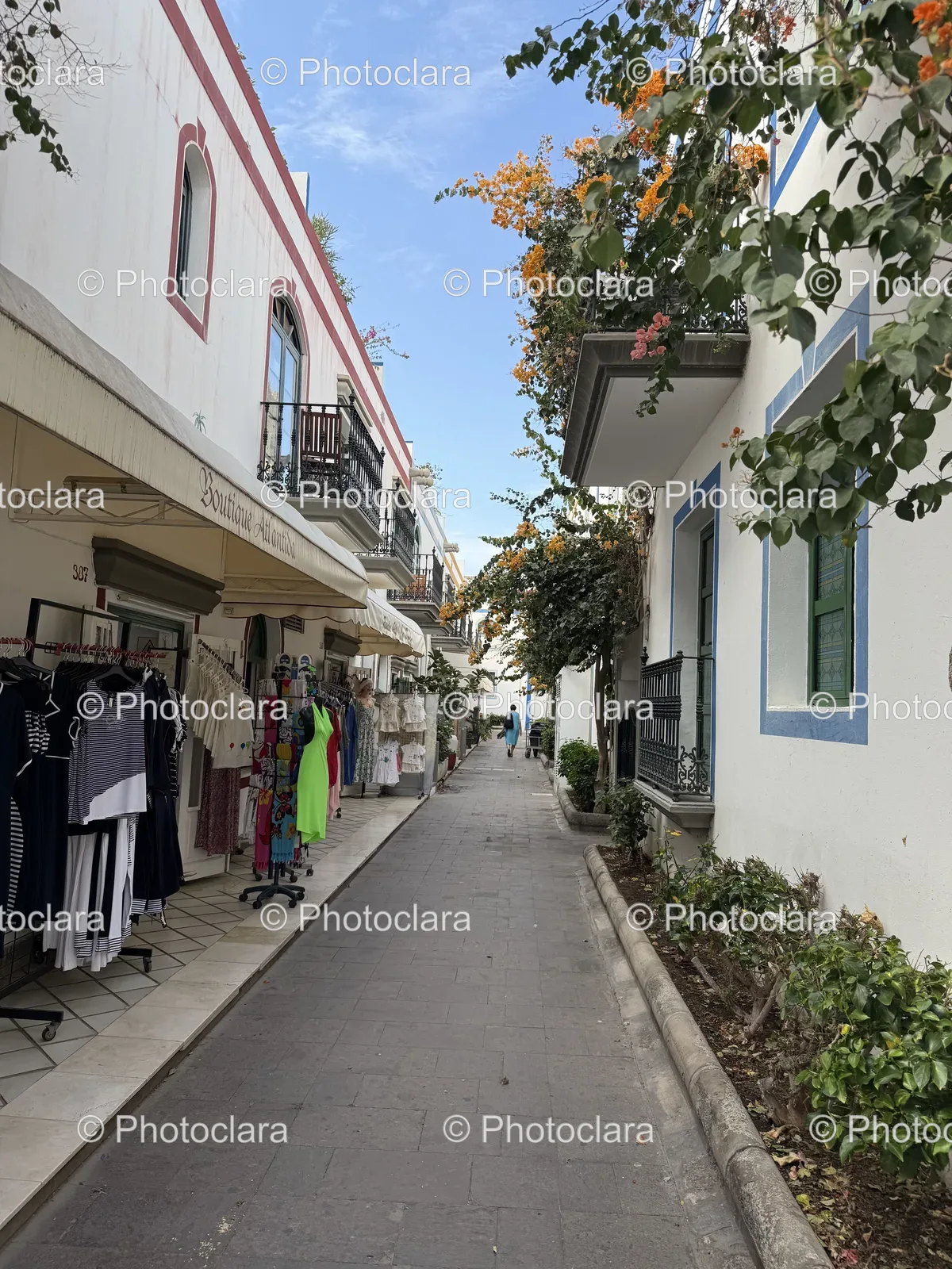 Charming Street with Boutique