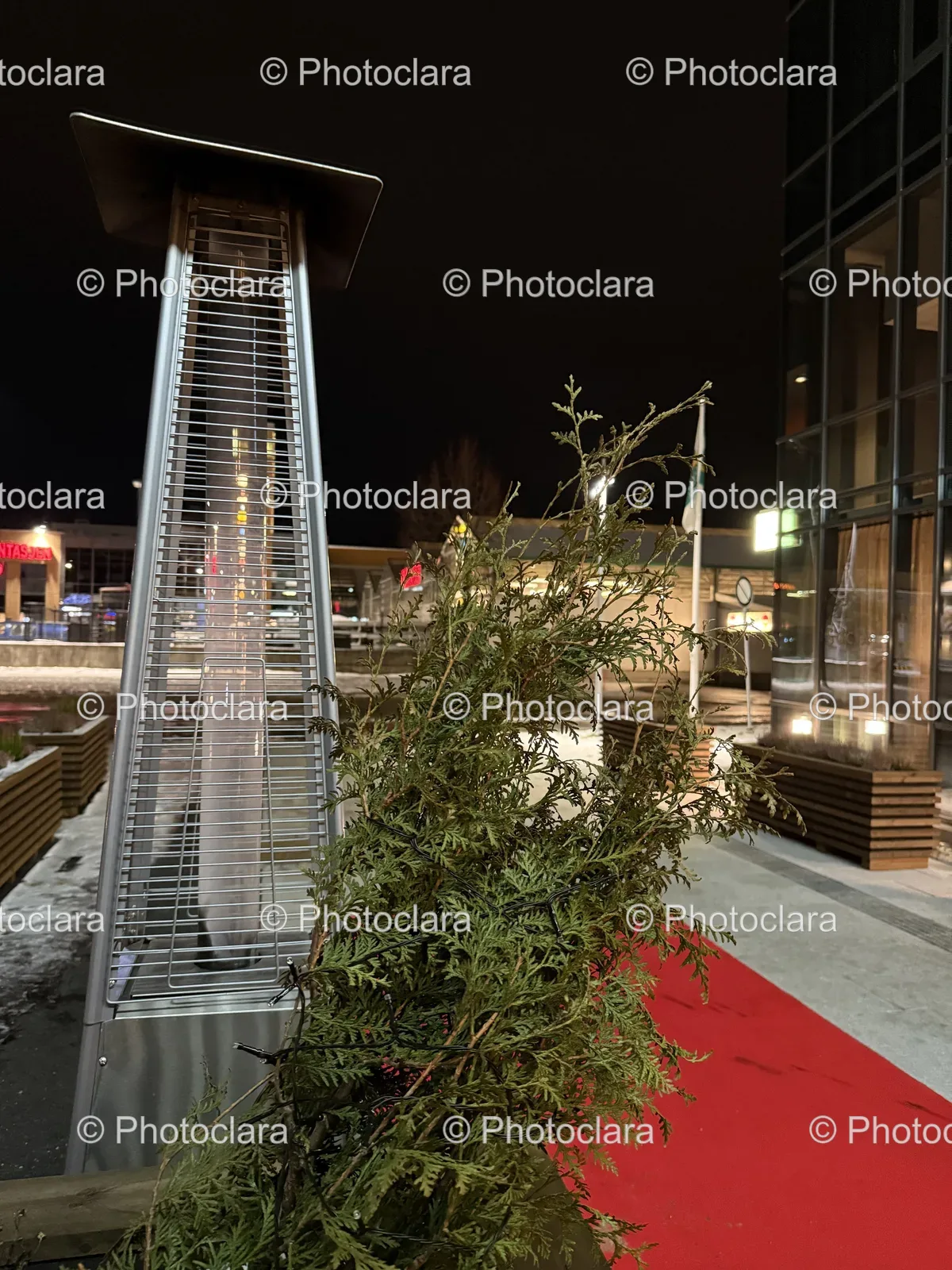 Tower-and-Tree-at-Night.jpg