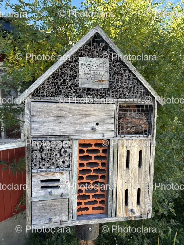 Architectural Structures