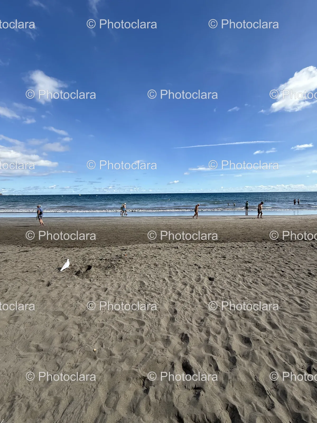 Frisbee-Fun-on-a-Sunny-Beach.jpg