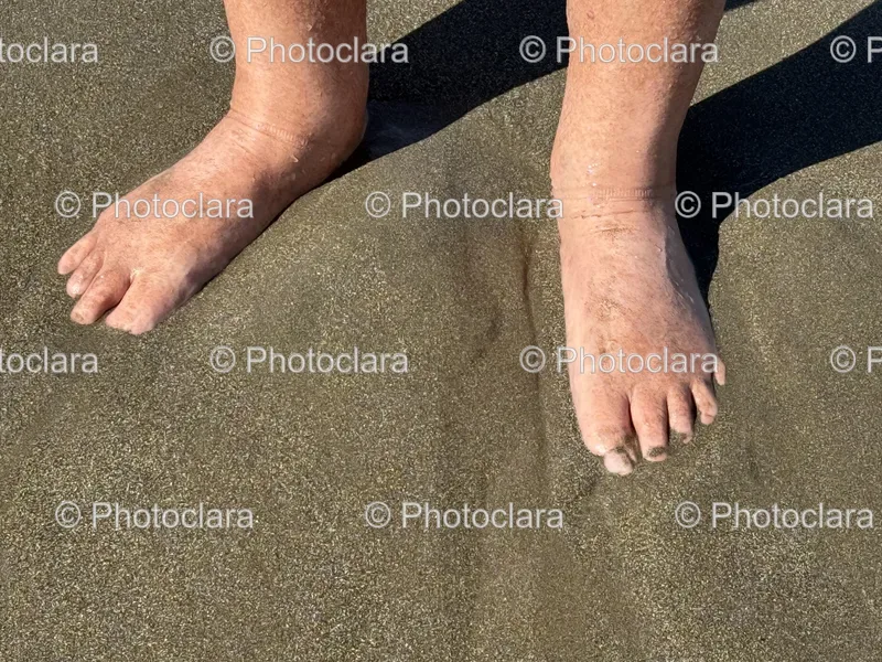 Beach Life