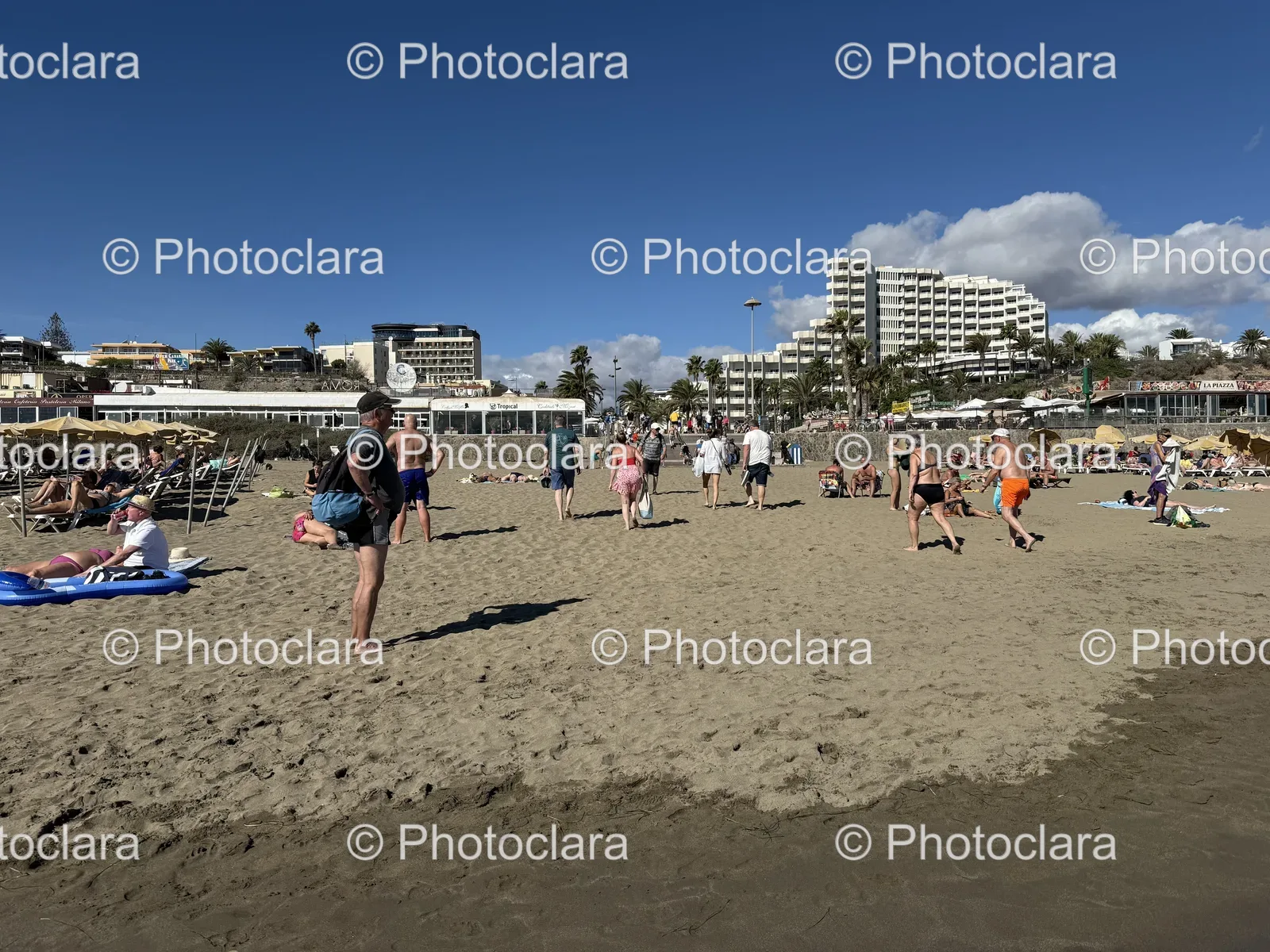 Beach-Day-Fun-on-a-Sunny-Day.jpg