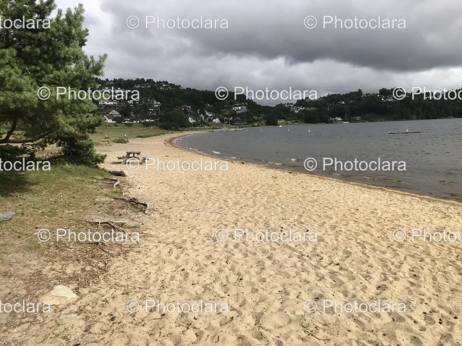 Beach-Picnic-Scenery.jpg