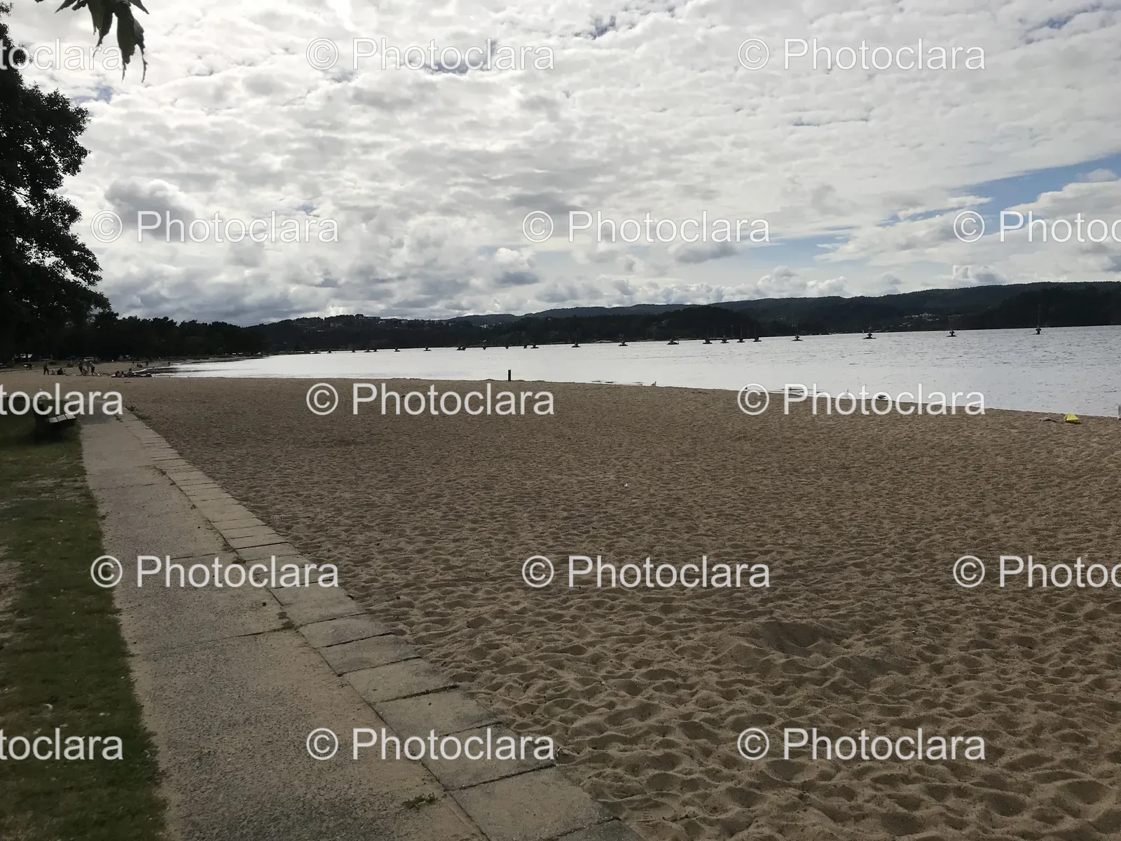 Beach-with-Water-and-Trees.jpg