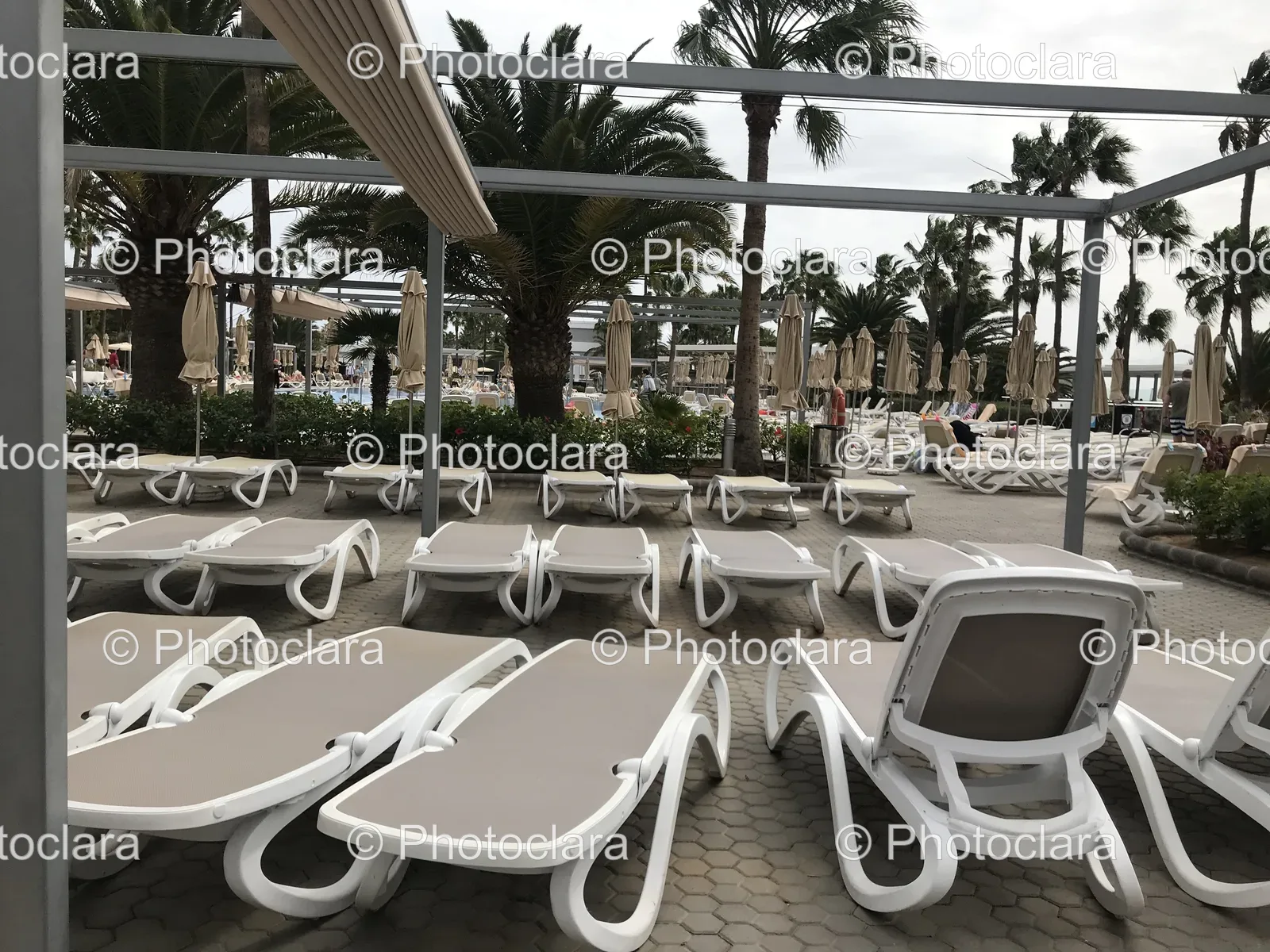 Lounge-Chairs-Umbrellas-Beach.jpg