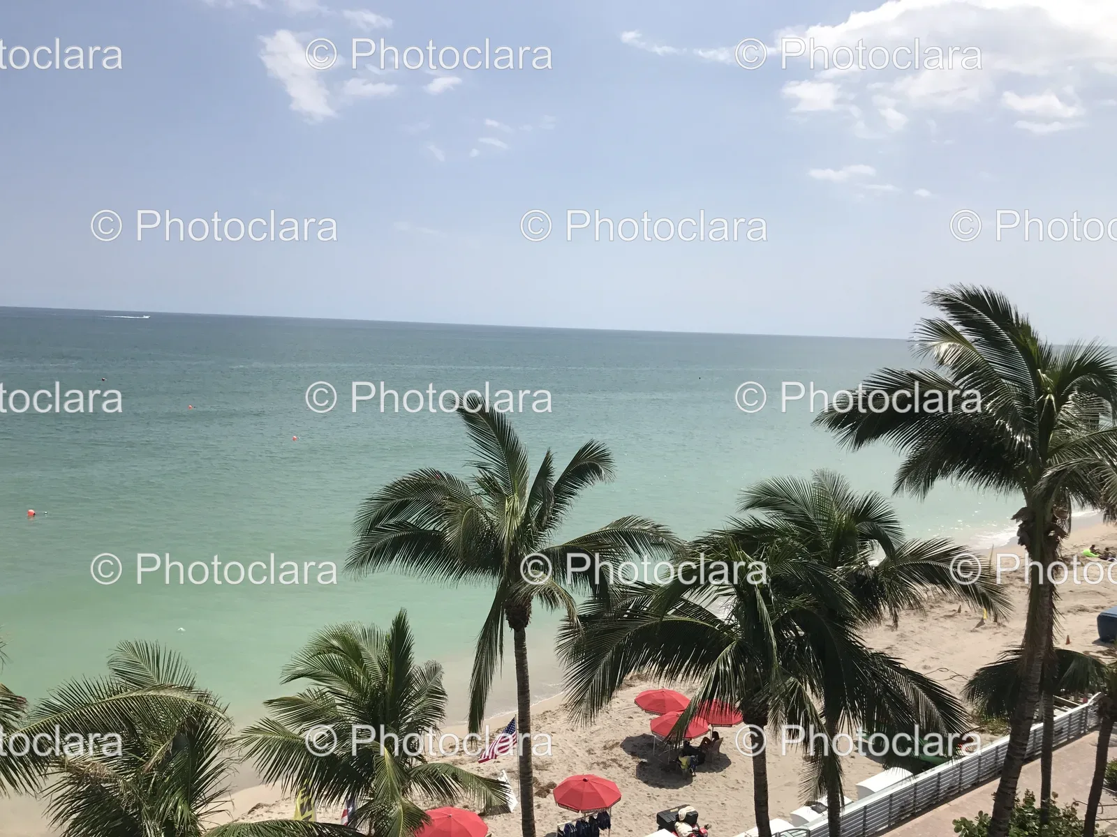 Palm-Tree-Paradise-Beach-Palm-Trees-Umbrellas-Tropical-Vacation.jpg