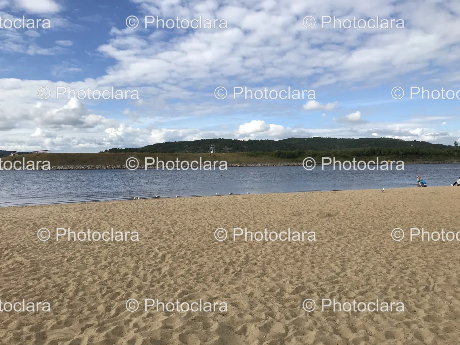 Serene-Beach-and-Scenic-Trees.jpg