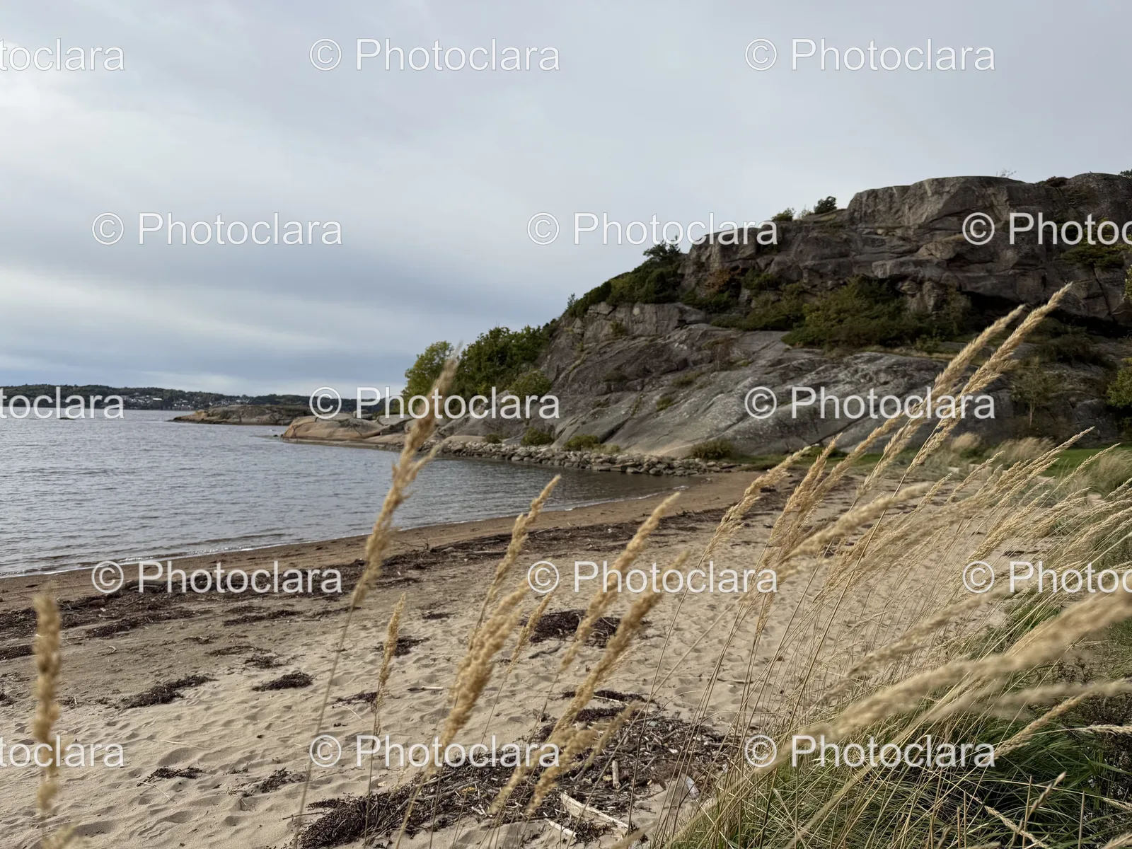 serene-beach-grass-water.jpg