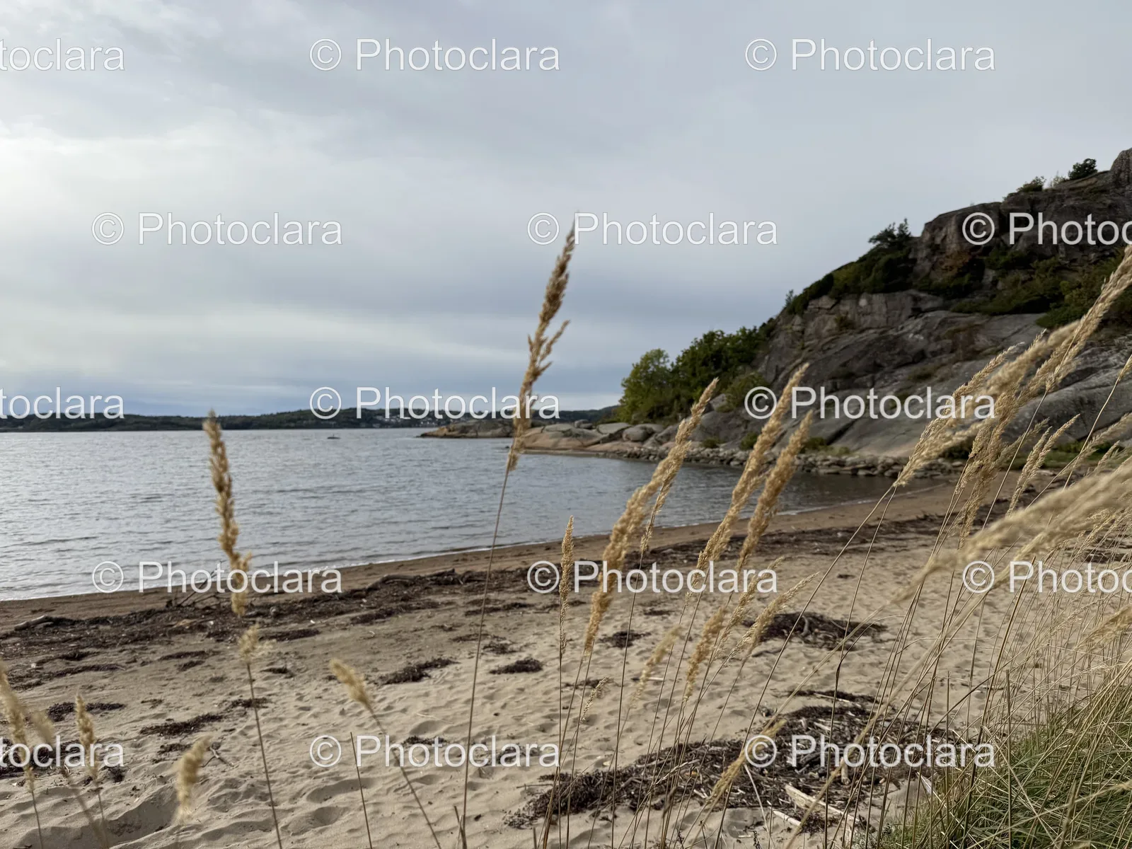 Serene-Beach-with-Sand-and-Grass.jpg