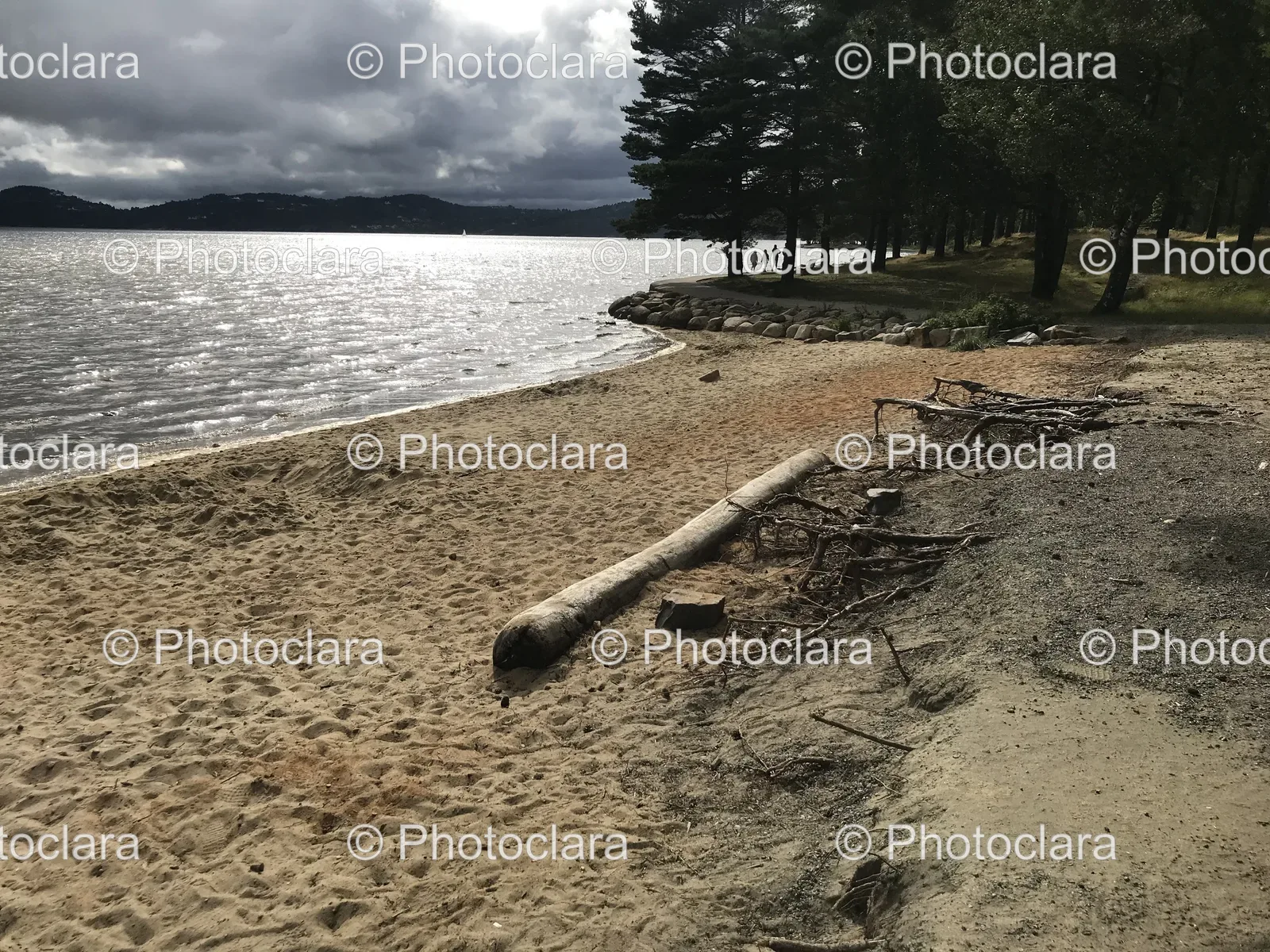 serene-beach-with-trees-and-water.jpg