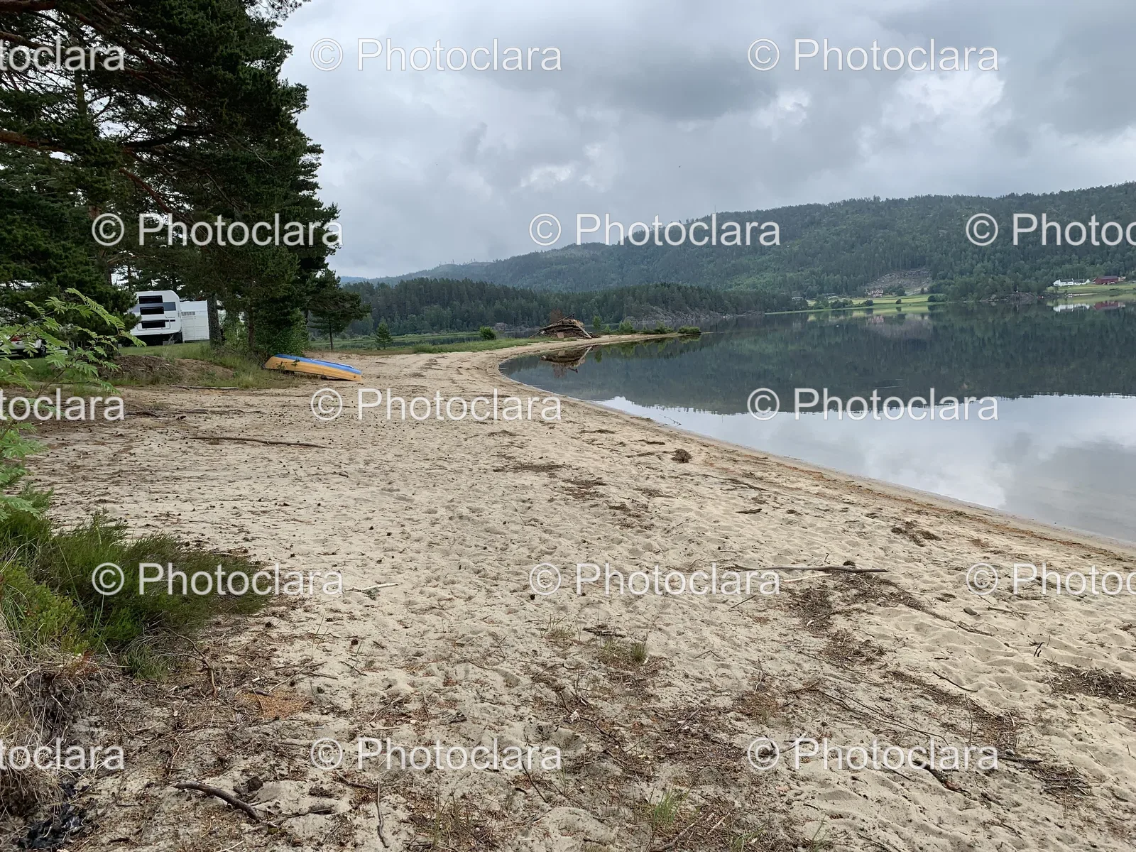 Serene-Beachside-View-With-Trees-And-Water.jpg