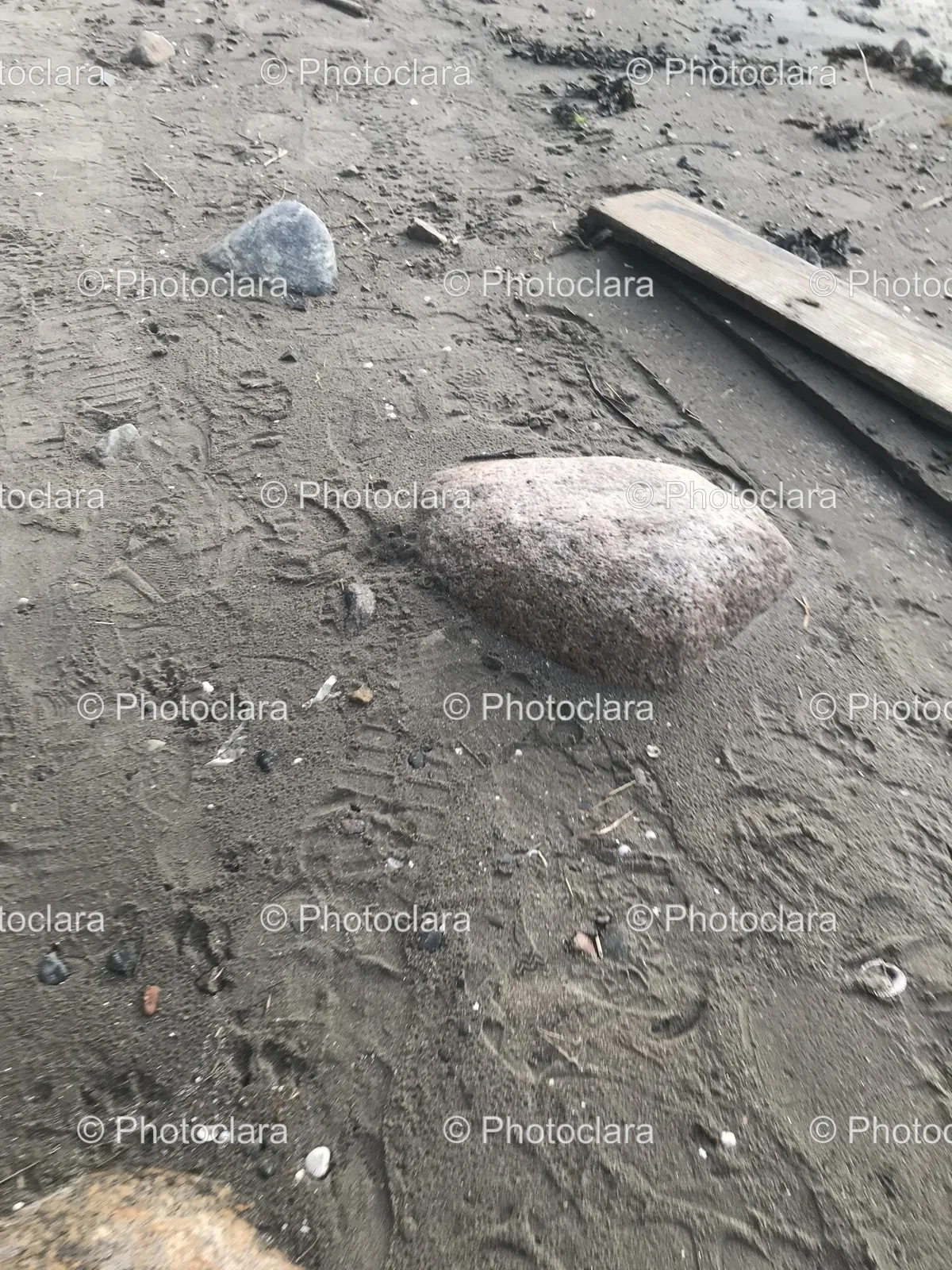 solitary-rock-on-the-sandy-beach.jpg