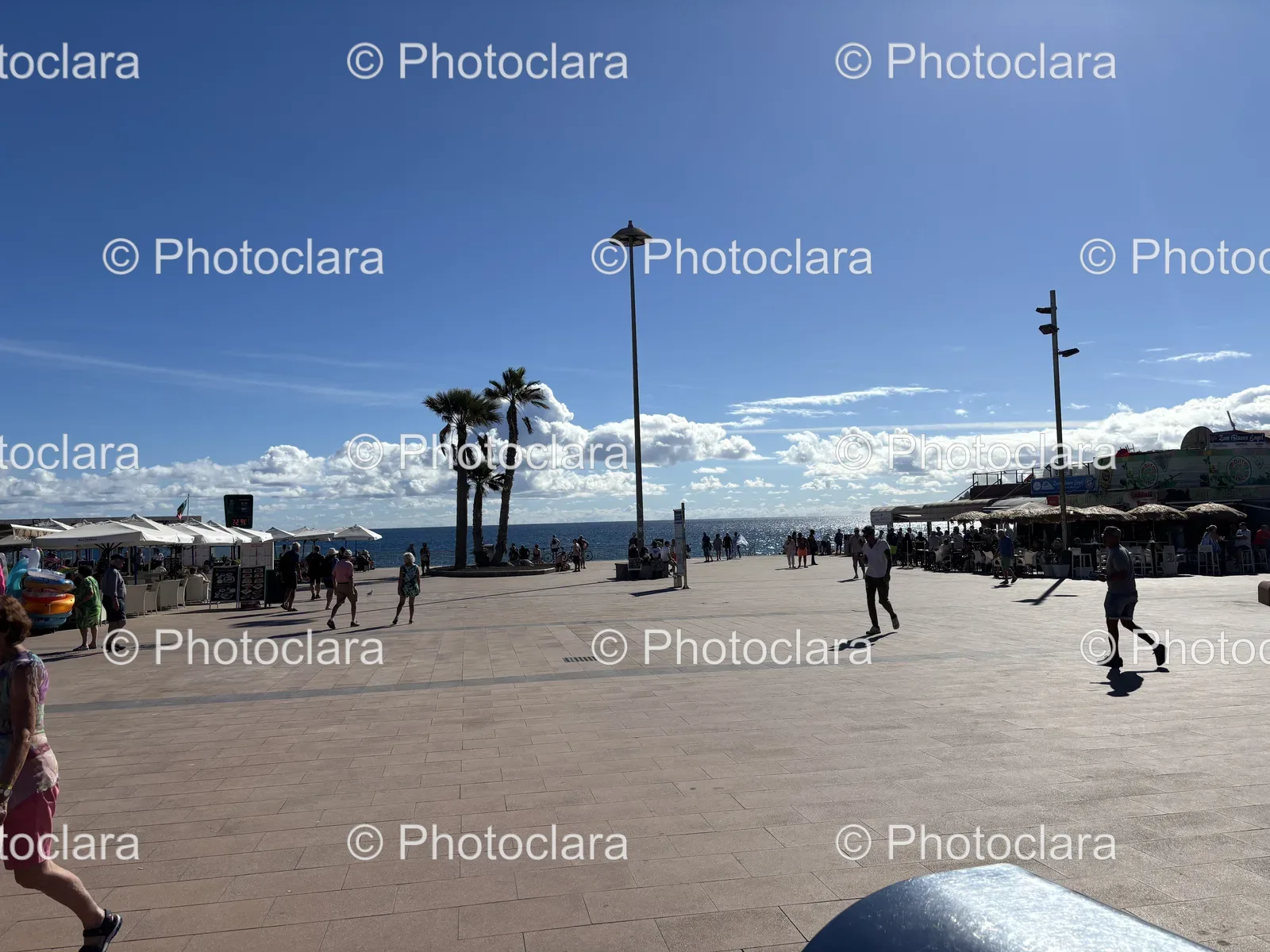 strolling-along-the-sandy-shore-beach-life.jpg