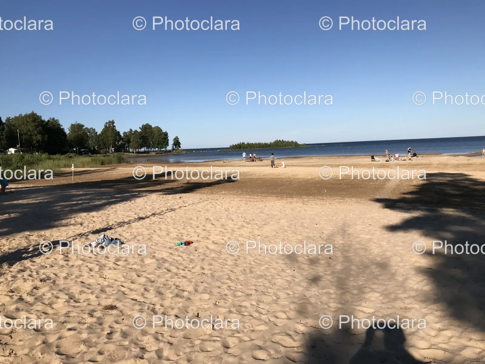 Sunny-Beach-with-Trees-and-People.jpg