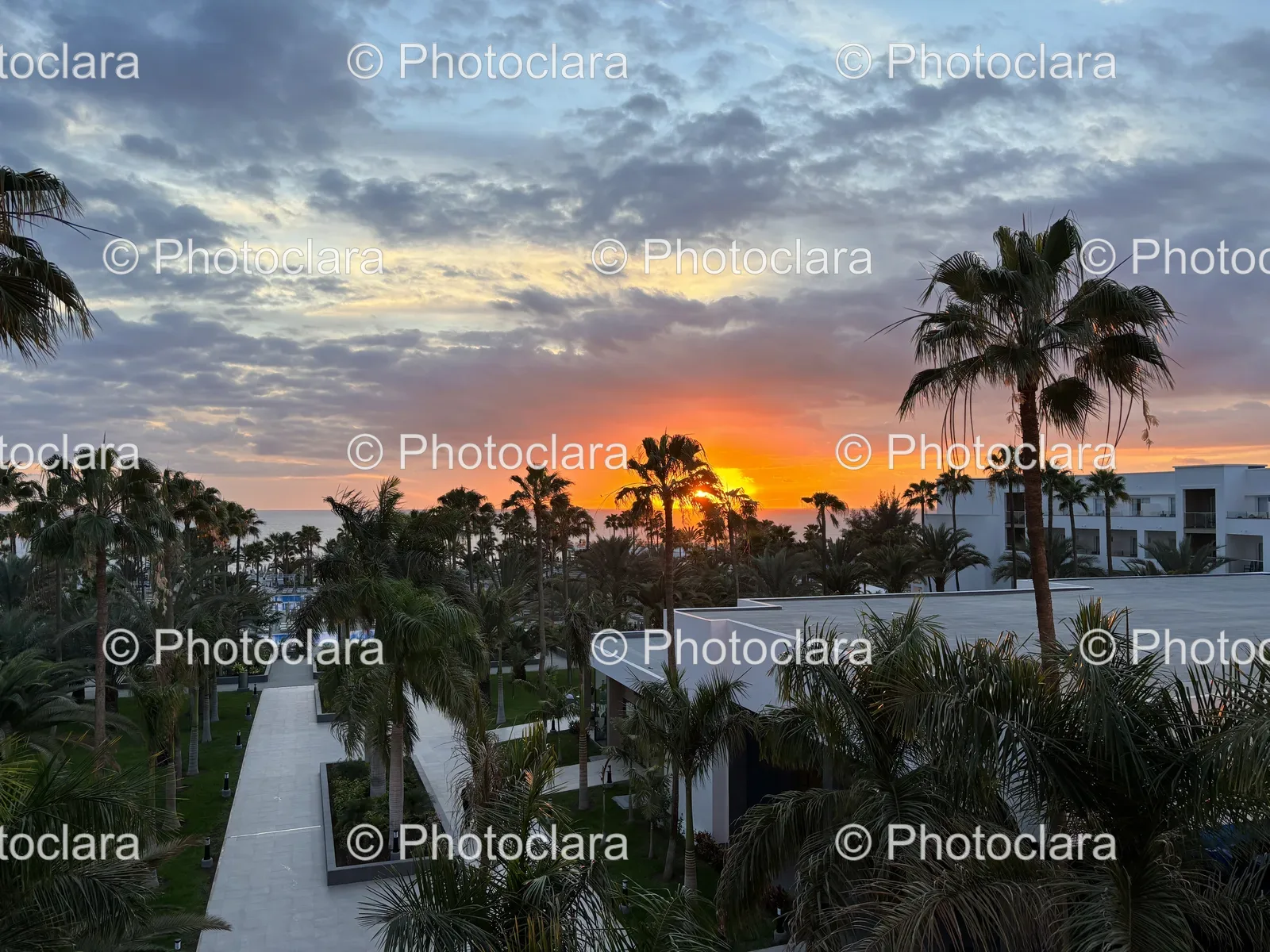 Sunset-Over-Beach-With-Palm-Trees.jpg