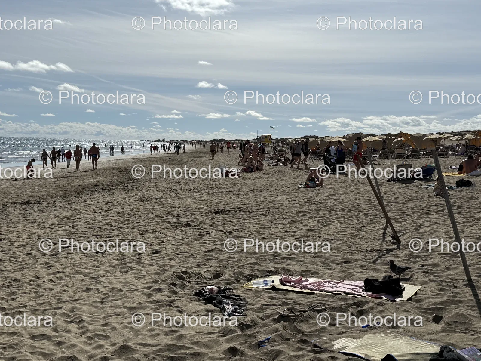 Vibrant-Beach-Gathering.jpg